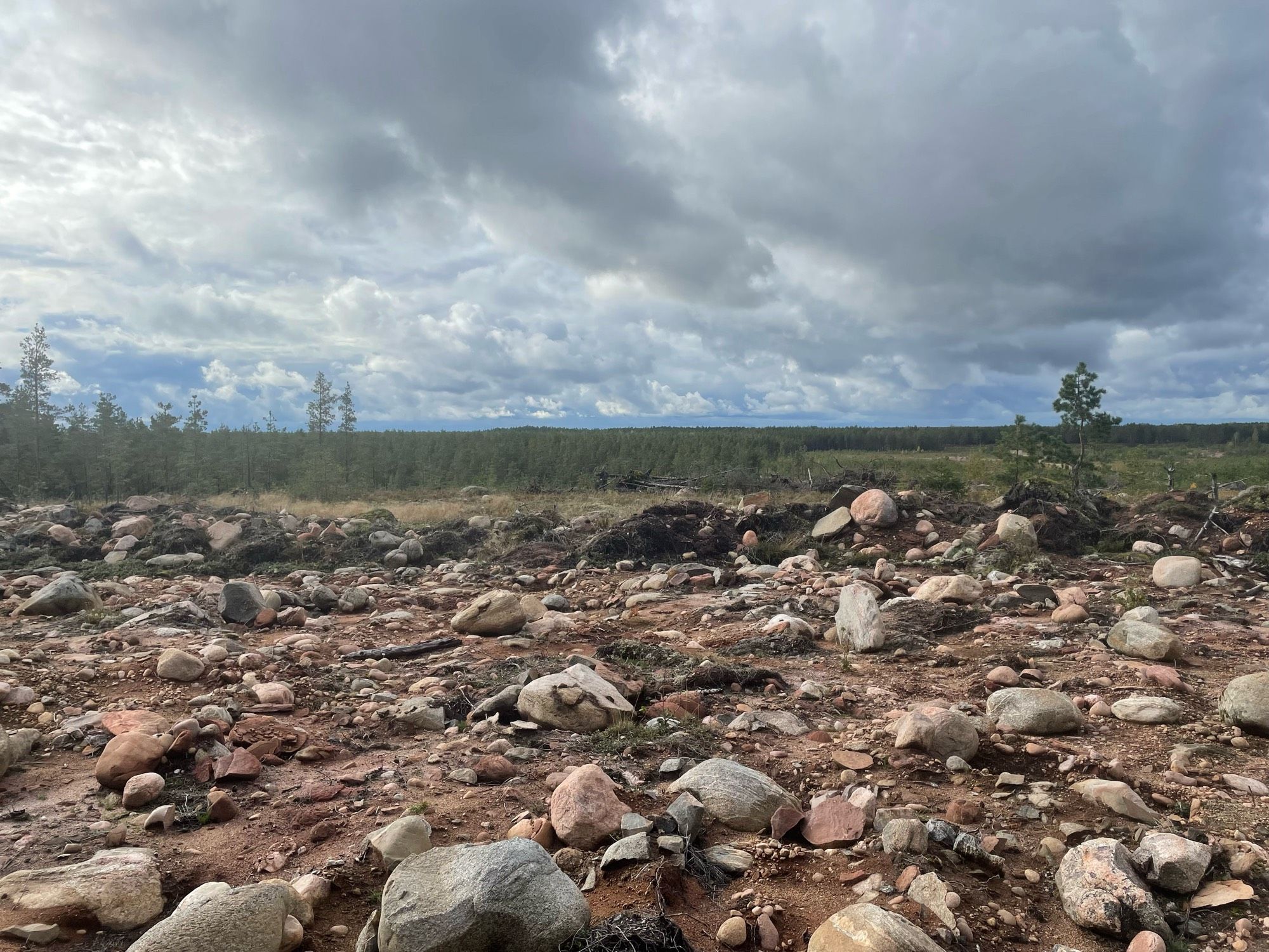 Kivikkoa, taustalla mäntymetsää, pilviä.