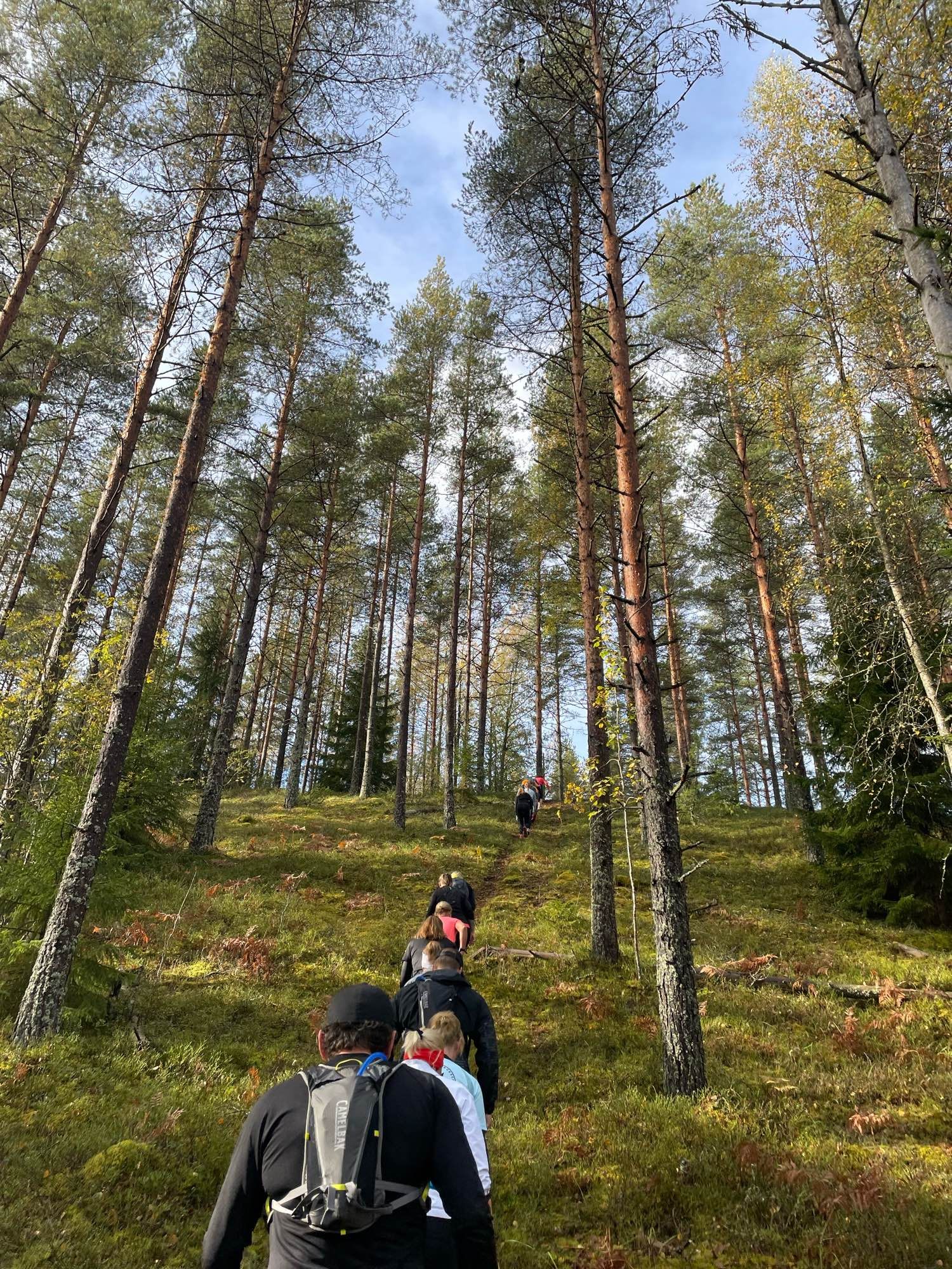 Jyrkkä ylämäki, polulla juoksijat jonossa tunkkaavat ylös.