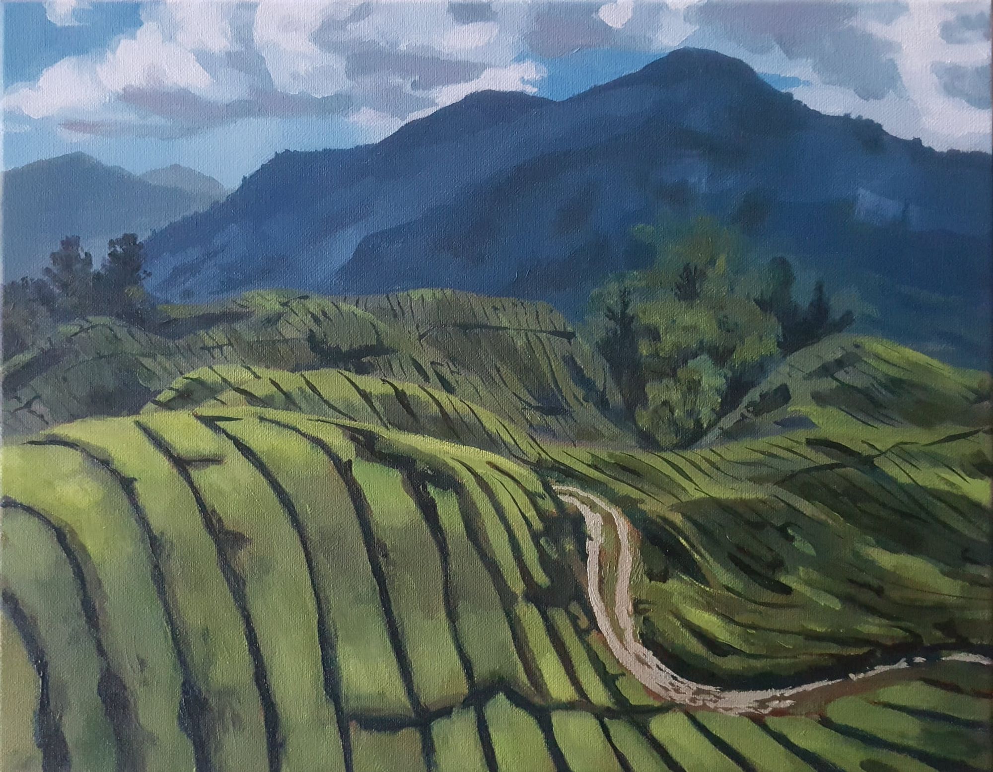 oil painting of a tea plantation