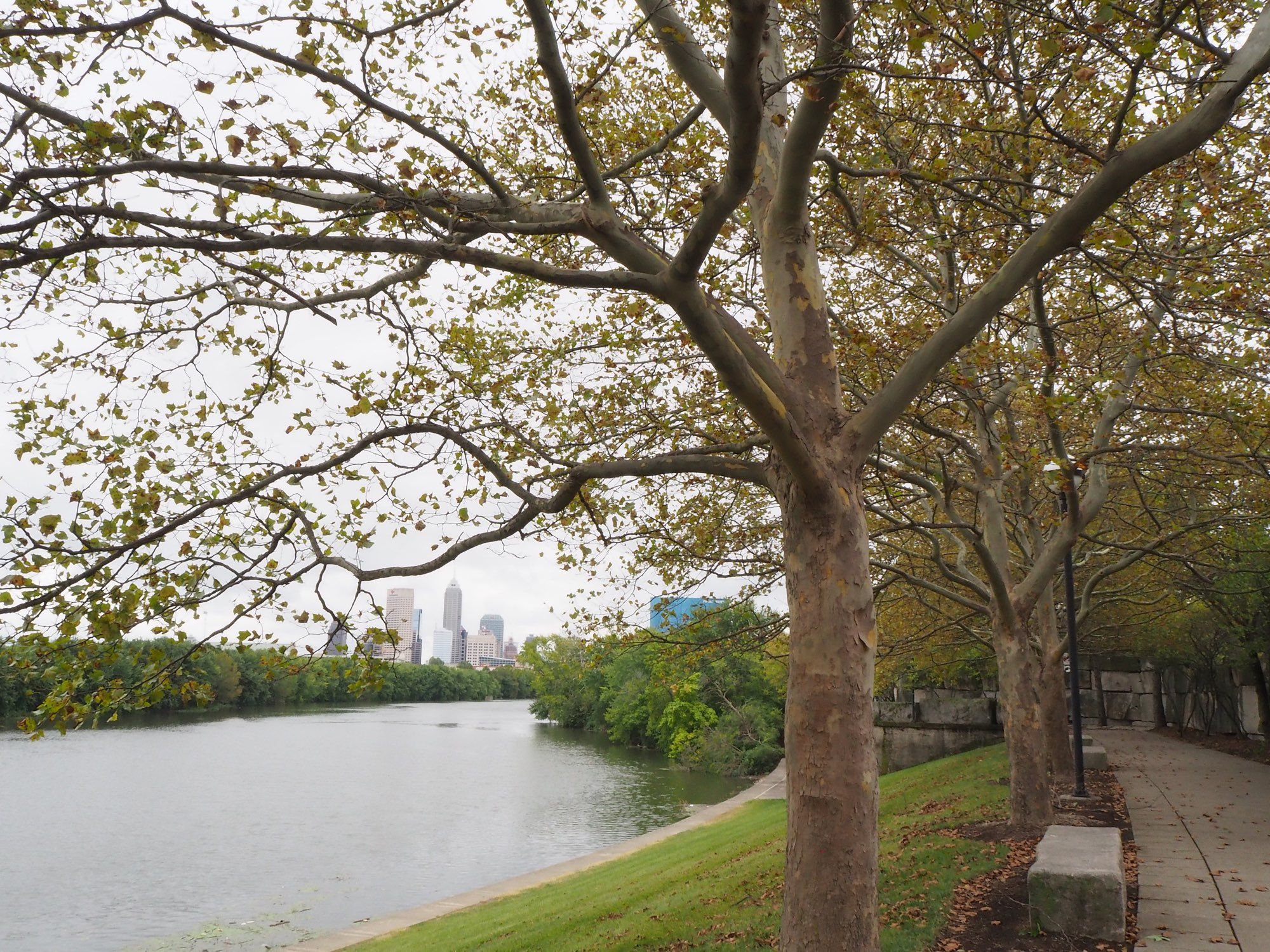 Trees with leaves turning orange in the foreground. The White River and Downtown Indianapolis can be seen in the background.