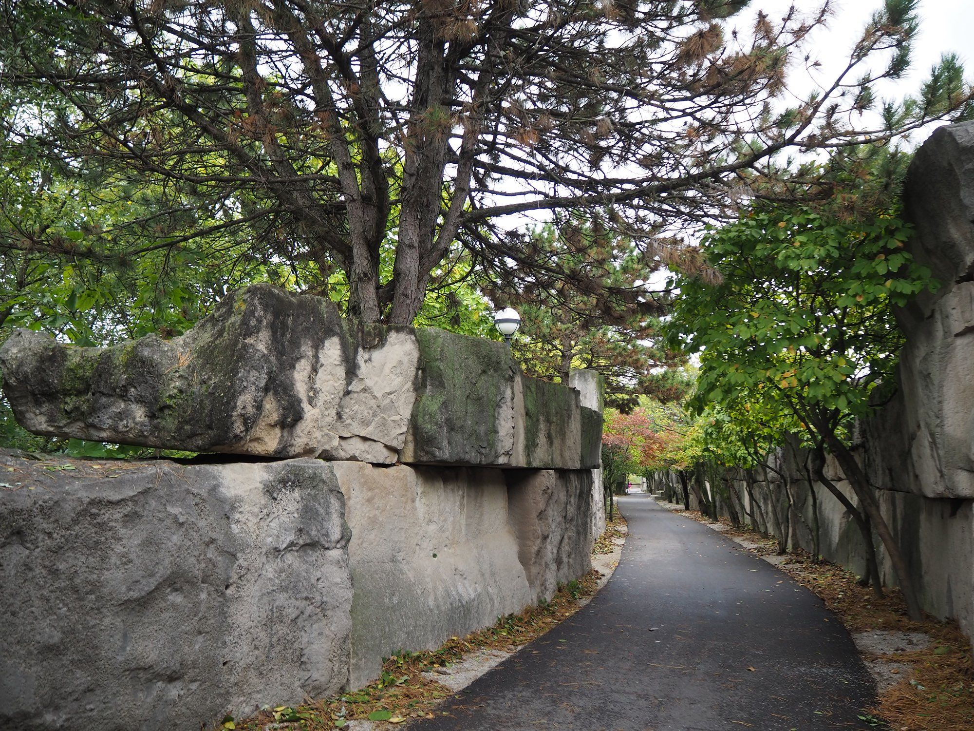 Bike/walk path surrounded by trees and gray walls.