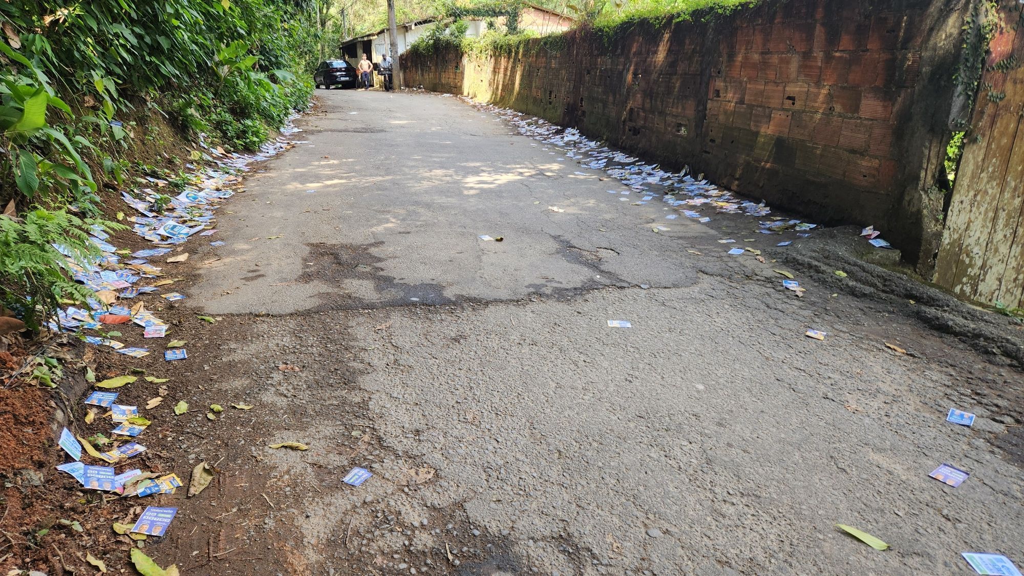 Rua com as laterais cobertas de santinhos.  De um lado vegetação, do outro muros. Na beira do asfalto panfletos eleitorais espalhados. Ao longe um carro é dois eleitores.