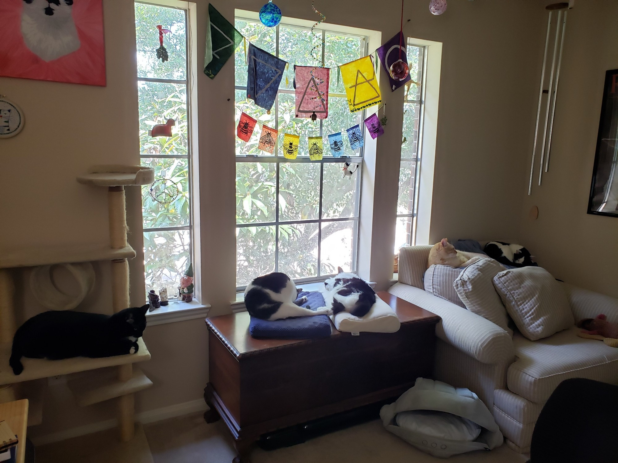 Five cats lounge on various pieces of furniture in front of a window festooned with colorful flags and charms