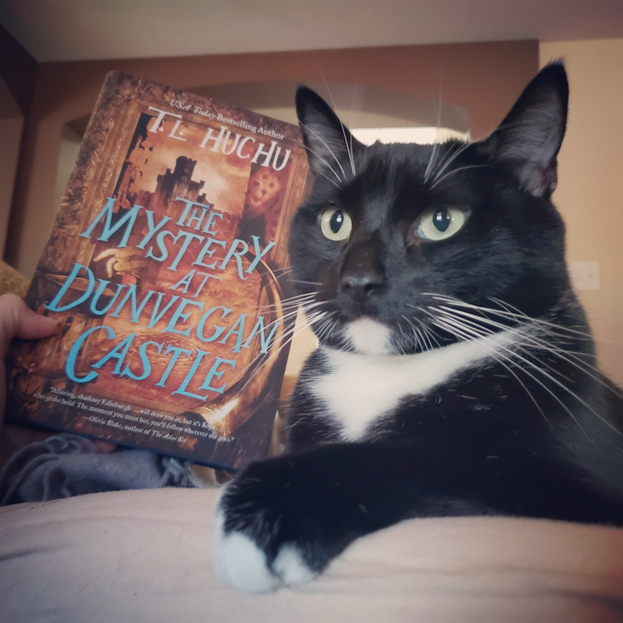 Handsome tuxedo cat/cat sidhe, Jett, with his copy of The Mystery at Dunvegan Castle by TL Huchu