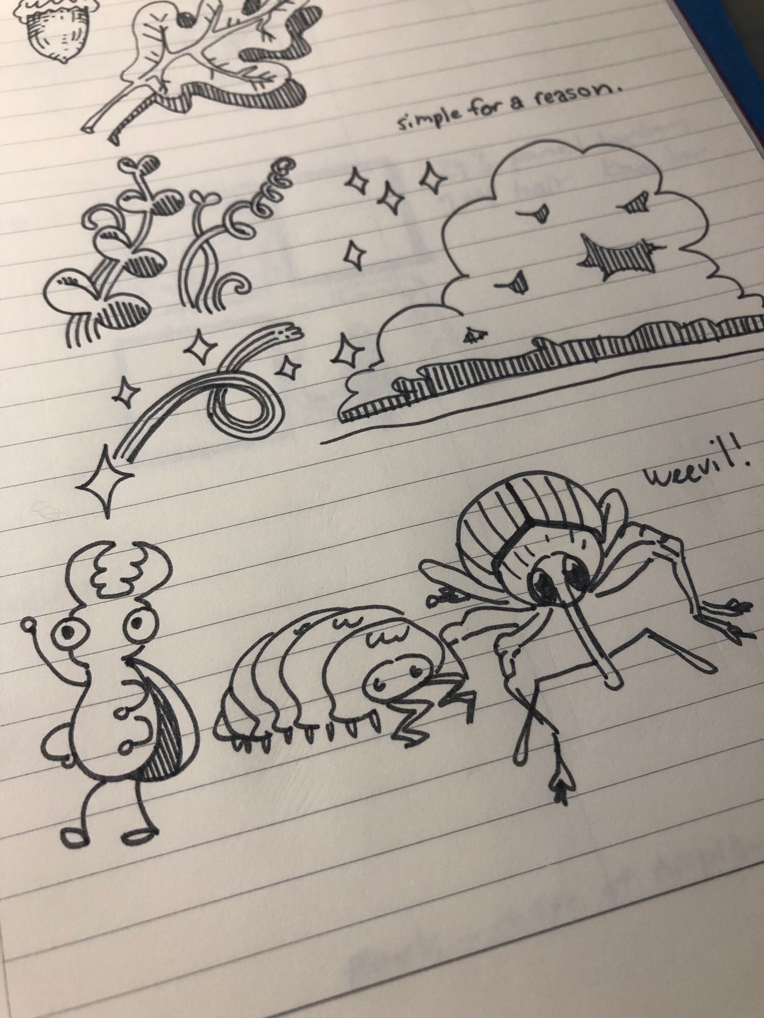 Notebook with doodles. Some plants, a cloud, some bugs.