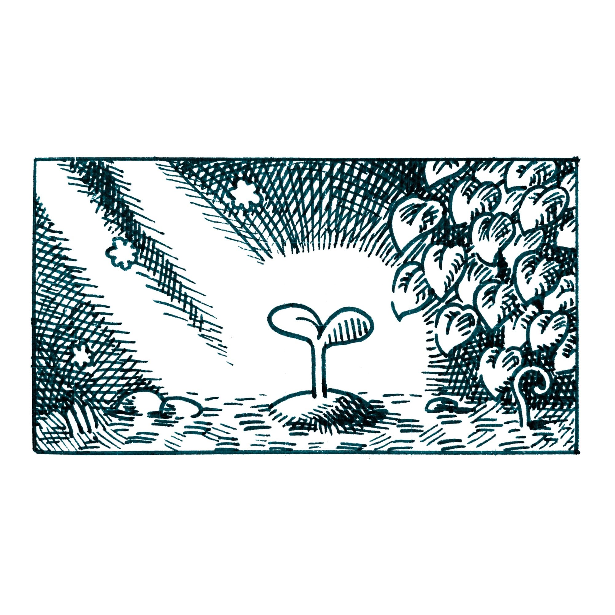 Simple ink drawing. The central focus is a sapling growing from the ground, illuminated by a couple streaks of light coming from the top right corner. There are a few puffs floating around and to the right there’s a cluster of leaves.