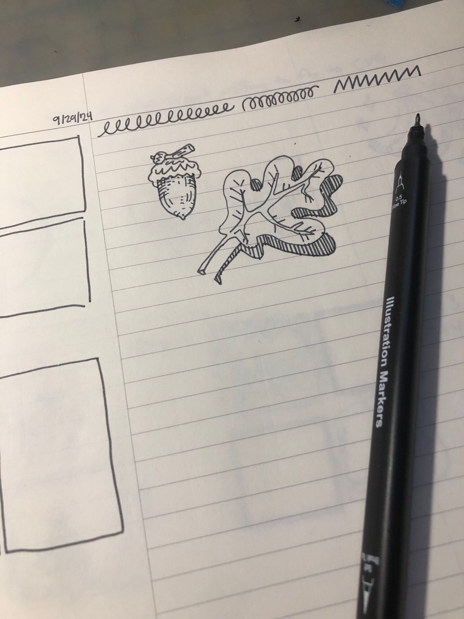 Photo of notebook with some small doodles but mostly empty. The is a drawing of an acorn and a leaf, as well as some random loops and zigzags.