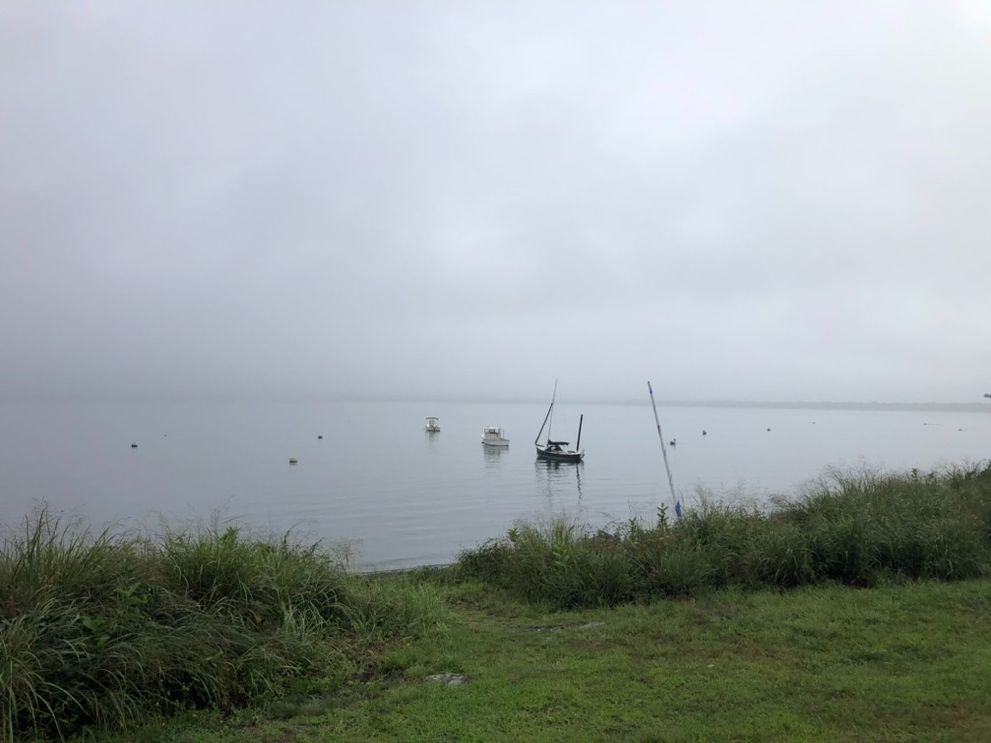 Three small boats at anchor in a fog-shrouded bay.