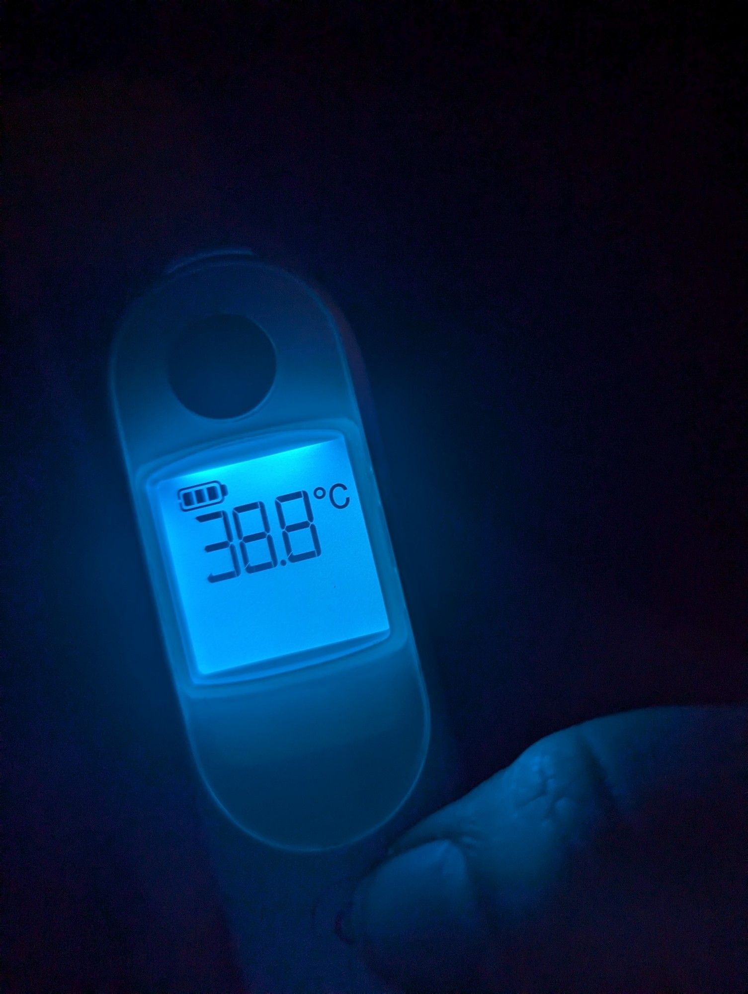 A thermometer reading of 38.8⁰C

It's mine, not the kids', but at least one of the kids seemed unwell last night as well.