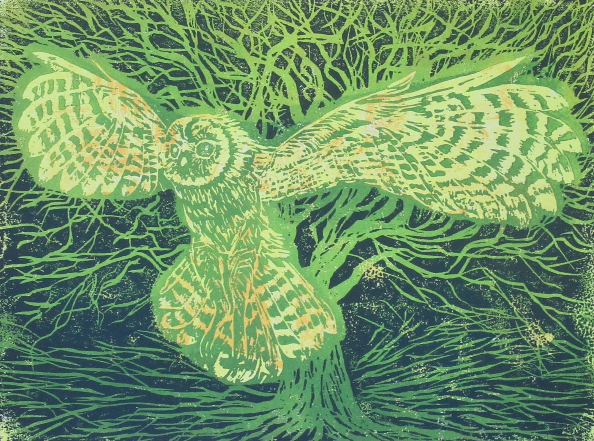 'Spirit of the Woods'. A tawny owl hovering in front of a large oak tree. Two woodcut prints superimposed on the each oher. Woodcut print, yellow, lime green, blue green. Maria Strutz