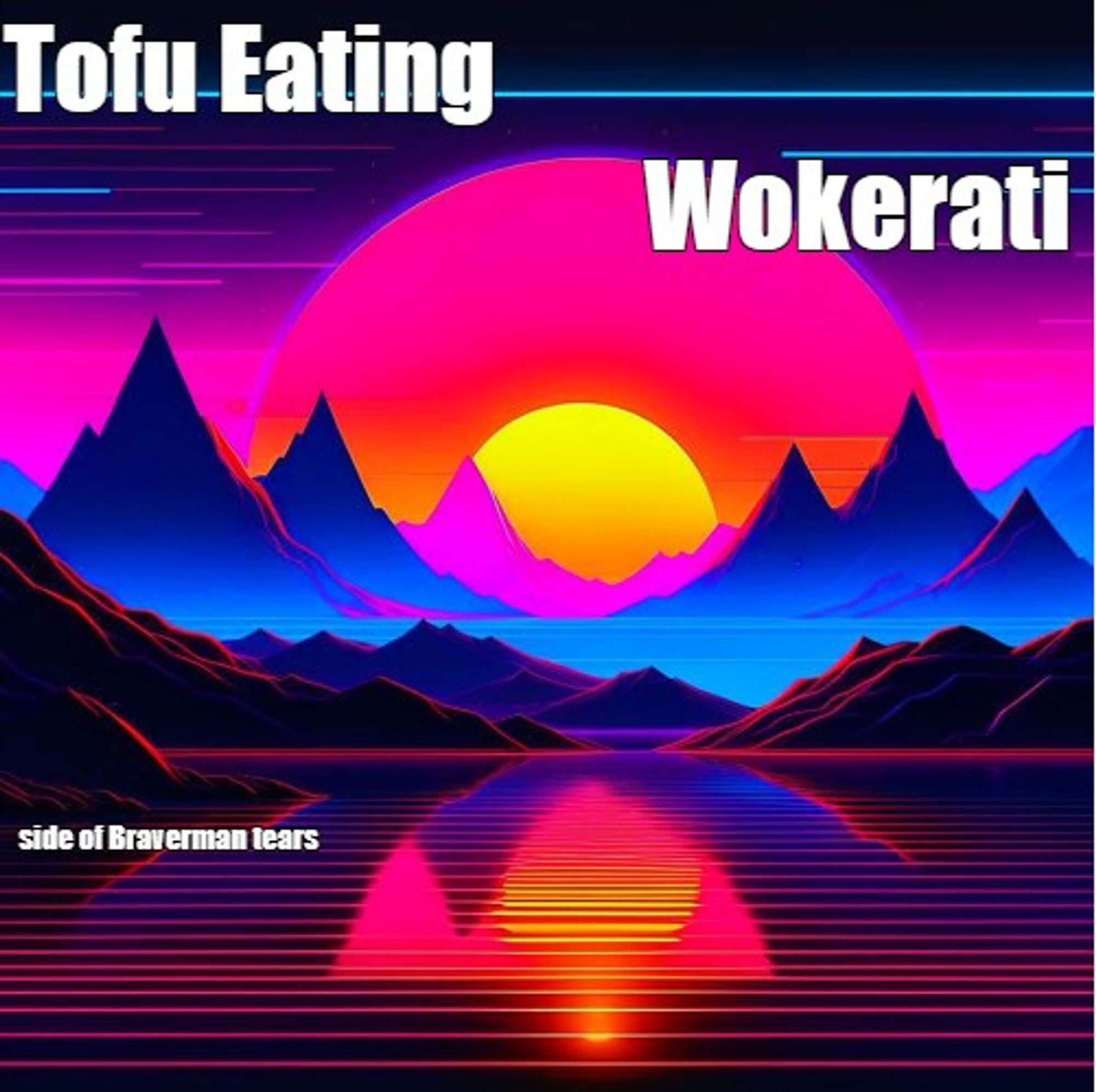 Retro landscape in pink, yellow and blue neon, setting sun on the horizon. Text says "Tofu eating wokerati side of Braverman tears