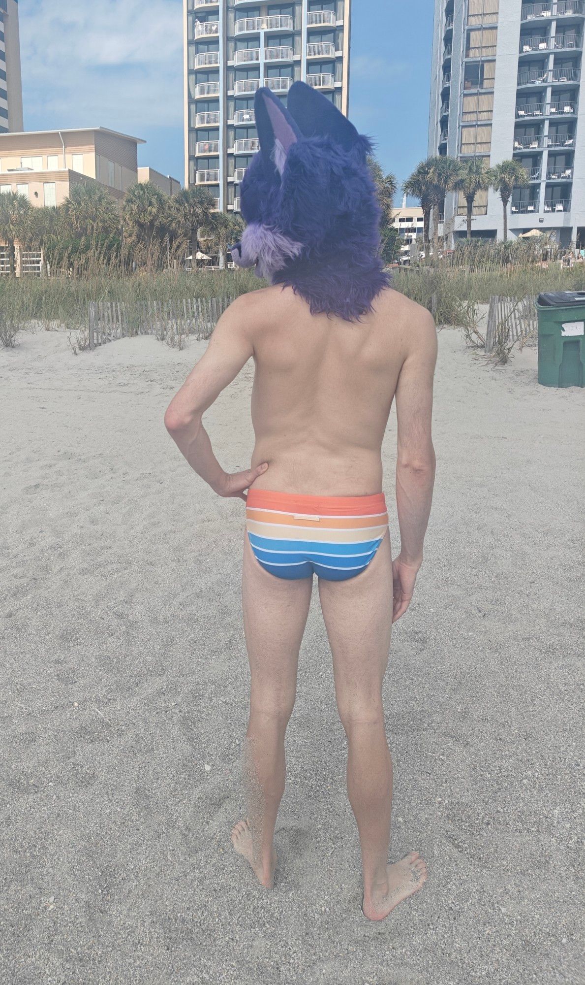 Niqnaq at the beach, fursuit head, speedo, from behind