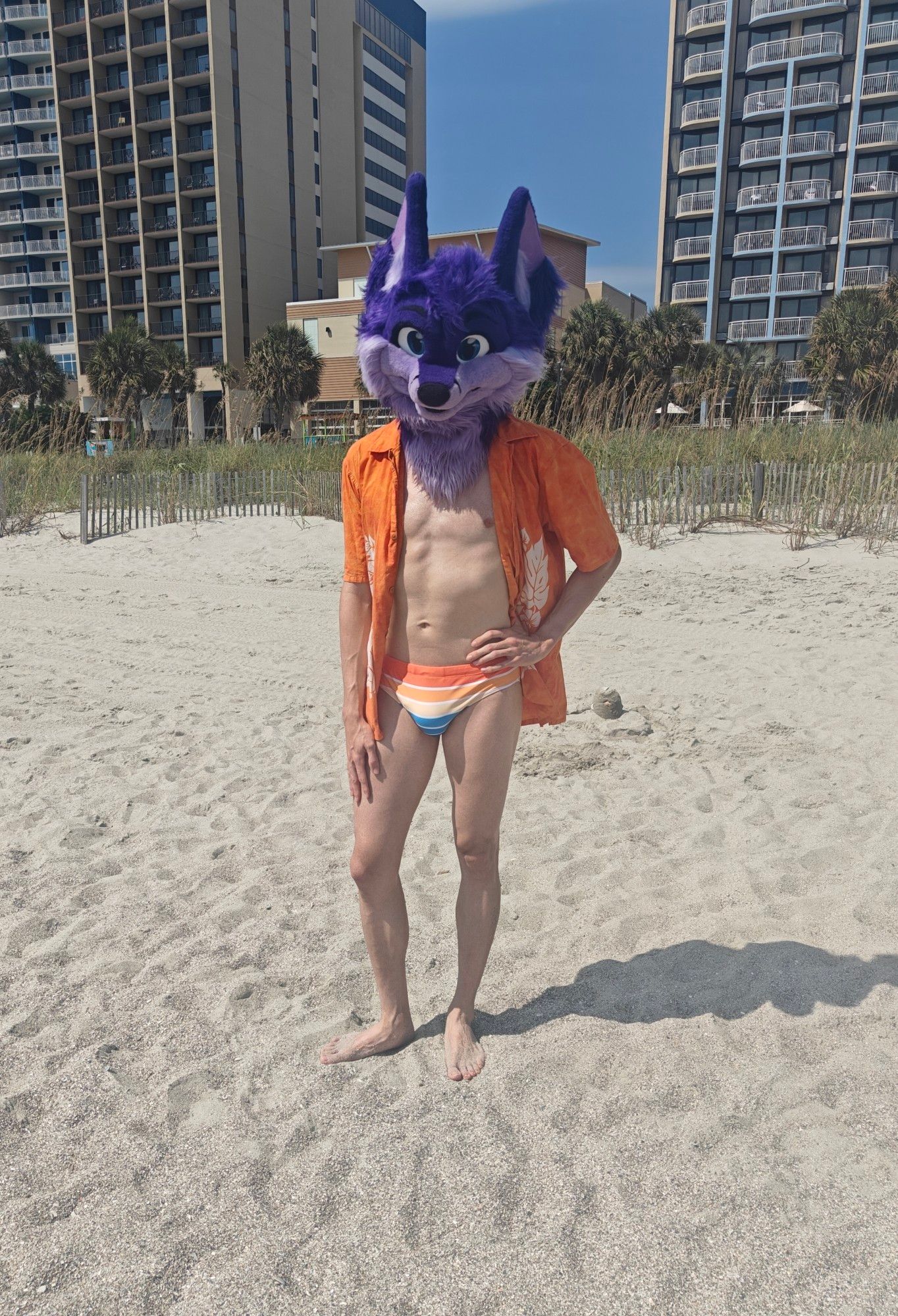 Niqnaq at the beach, fursuit head, Hawaiian shirt, speedo