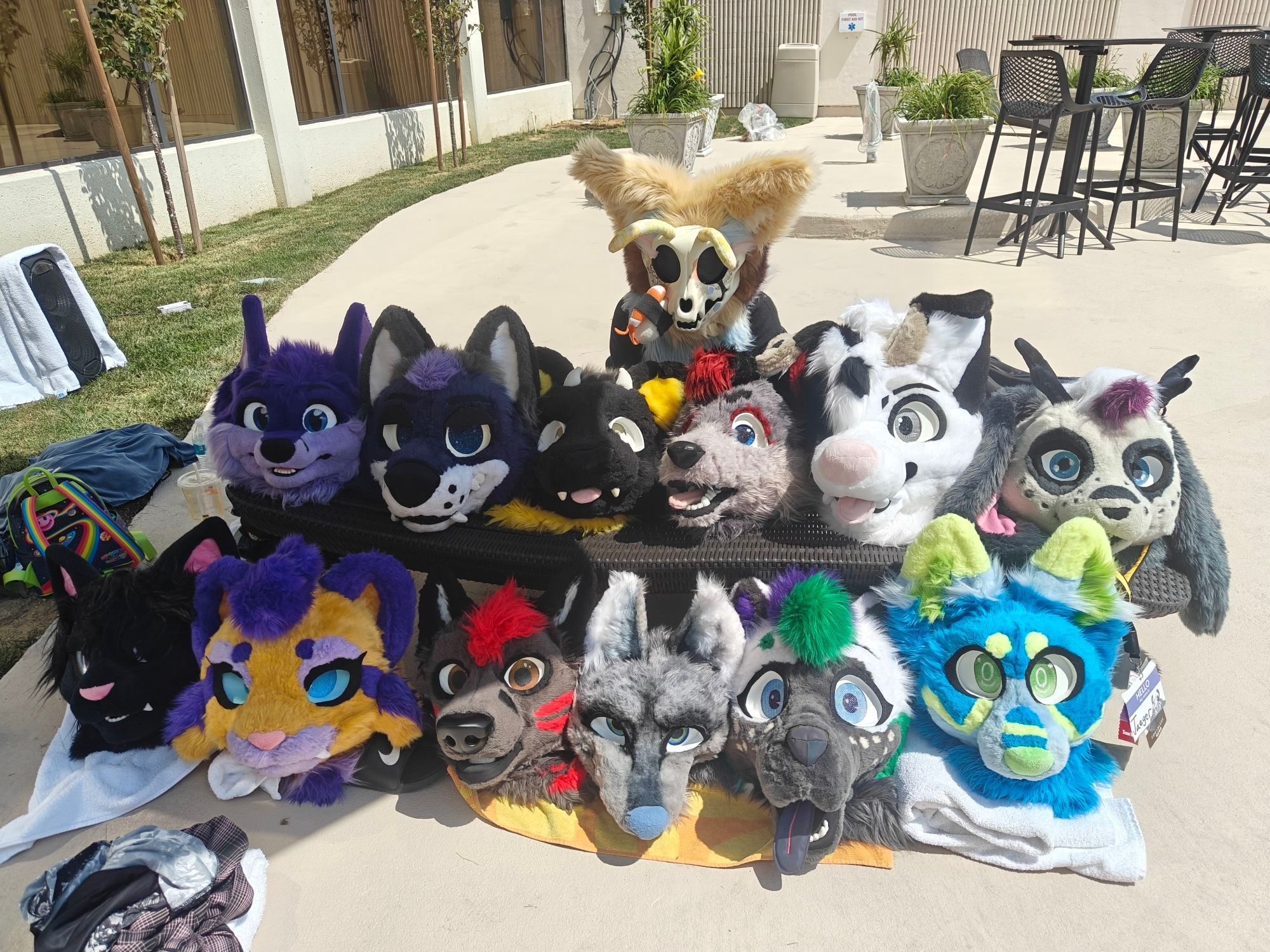 Fursuit heads by the pool