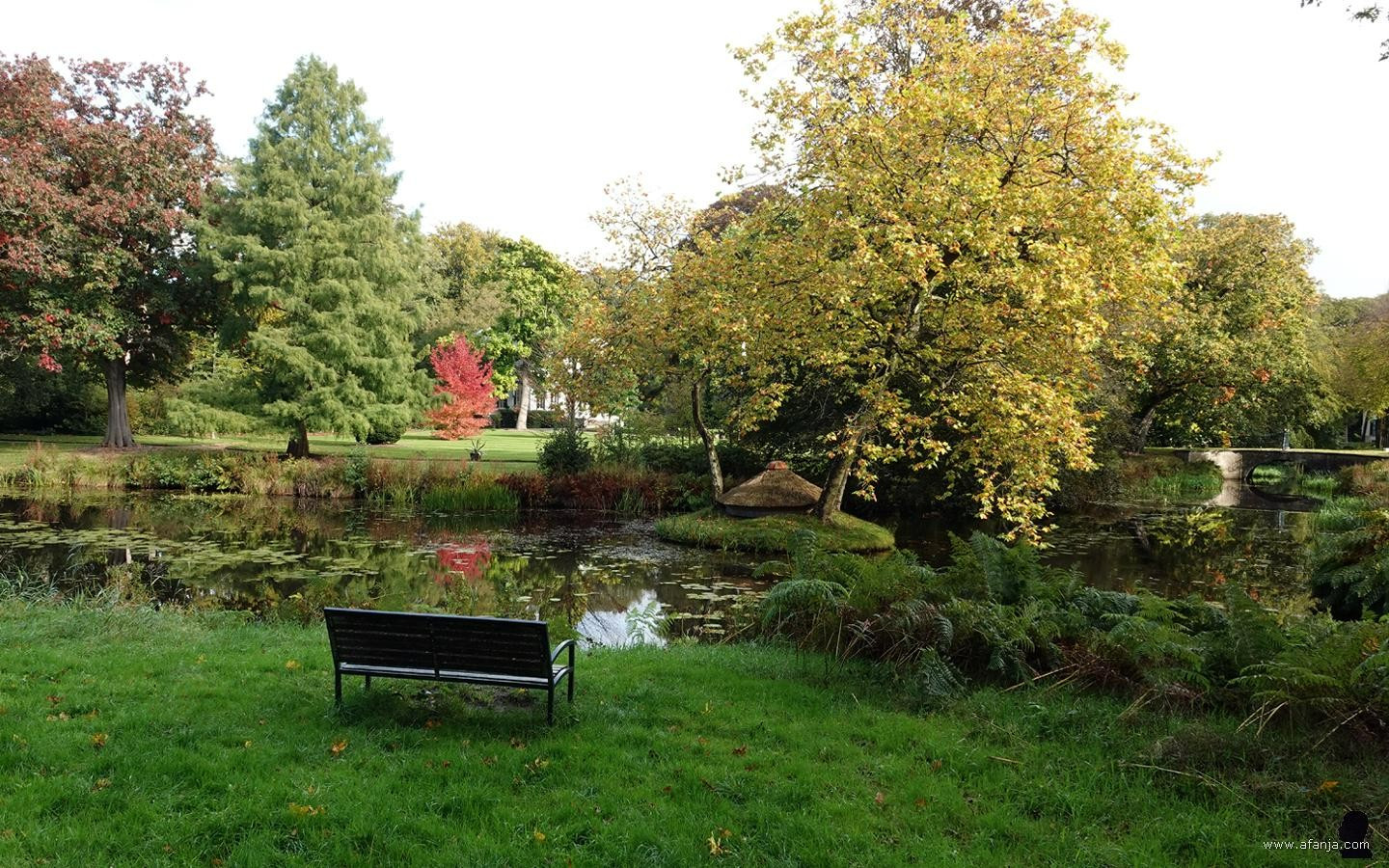 de eerste herfstkleuren verschijnen in het parklandschap