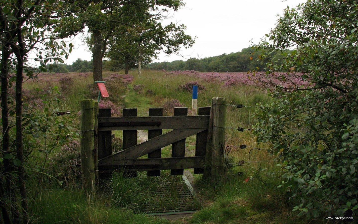 een hekje bij de heide in het Weinterper Skar