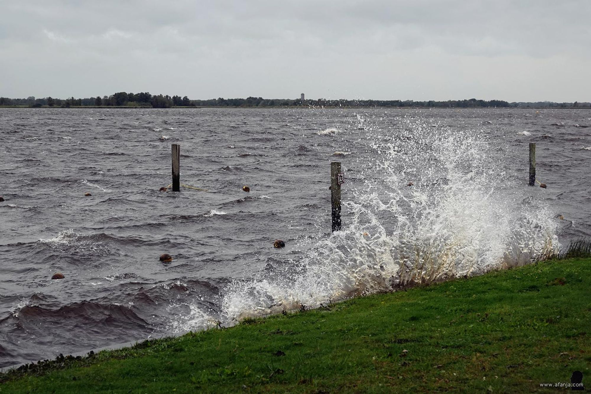 opspattende water op de oever langs de Beulakerwijde