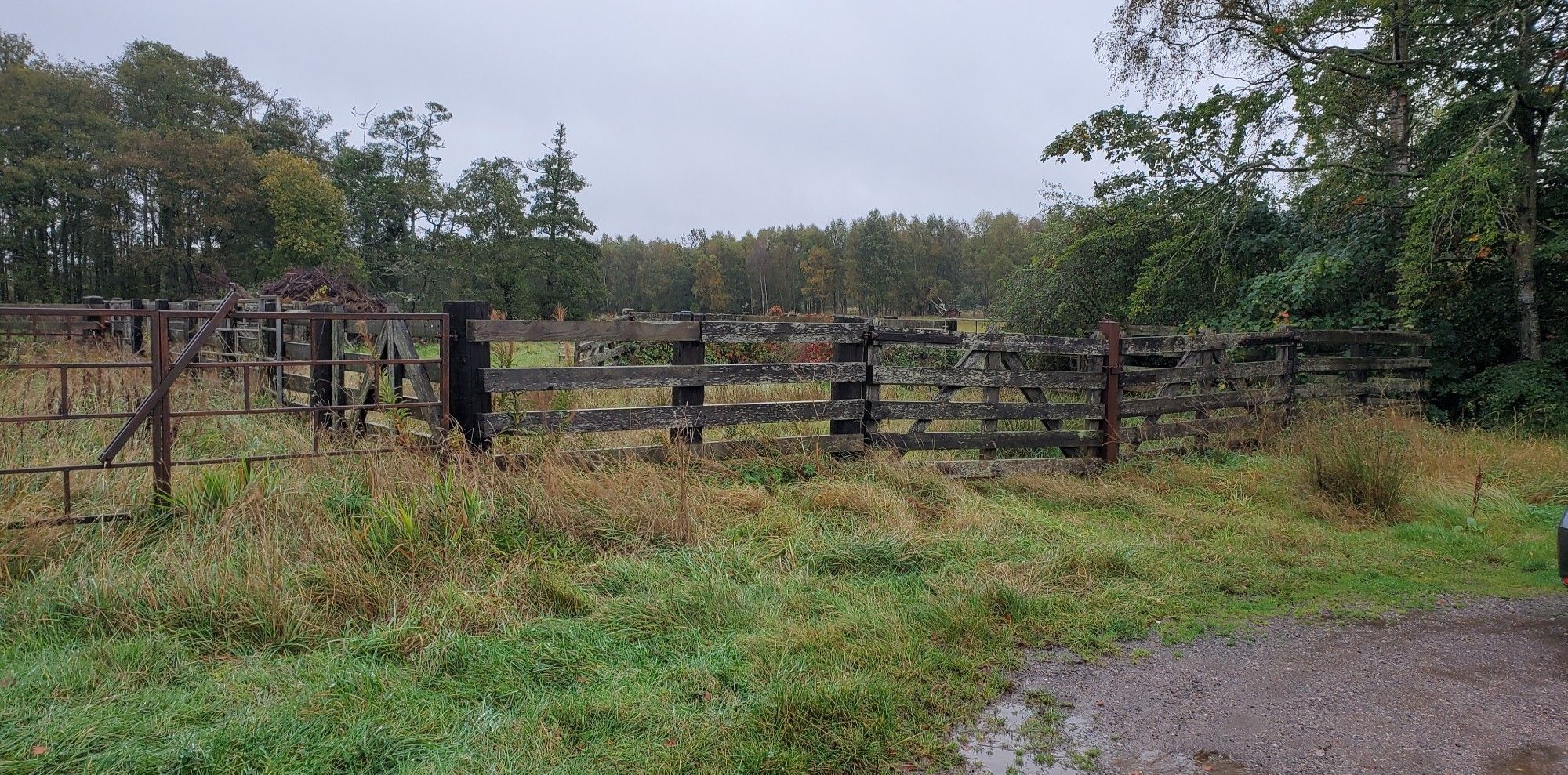 Cattle loading station comprised mainly of gates.