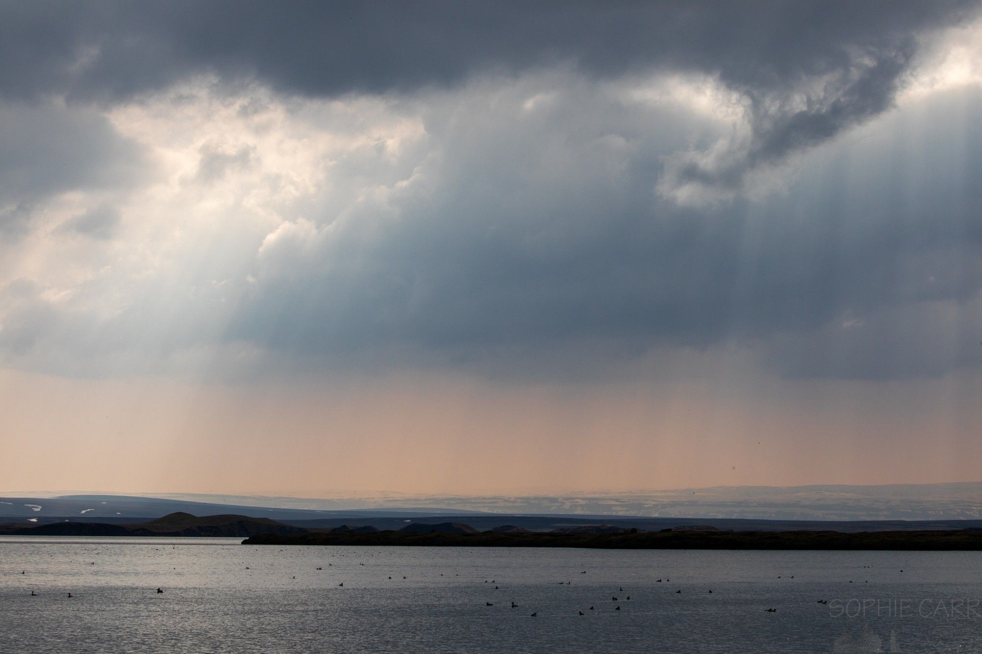 Crepuscular rays fall from clouds over Lake Mývatn in northern Iceland in June 2021. The lake is below, with many birds sitting on the surface, a few flying around. A bit of cloud curls down towards the lake.