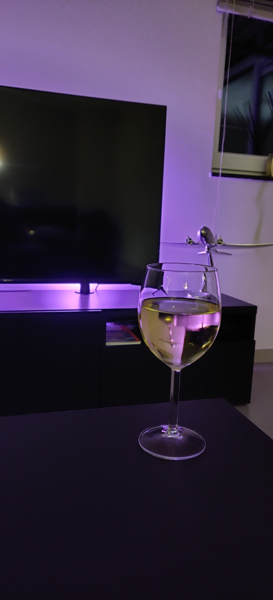 Un verre de vin blanc dans l'atmosphère cosy d'un salon. En arrière blanc, une miniature de DC-3