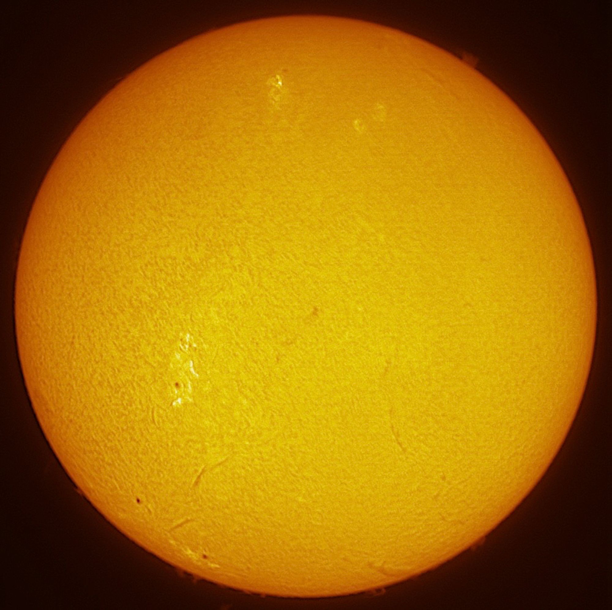 The Sun in hydrogen alpha showing some sunspots, plages and filaments