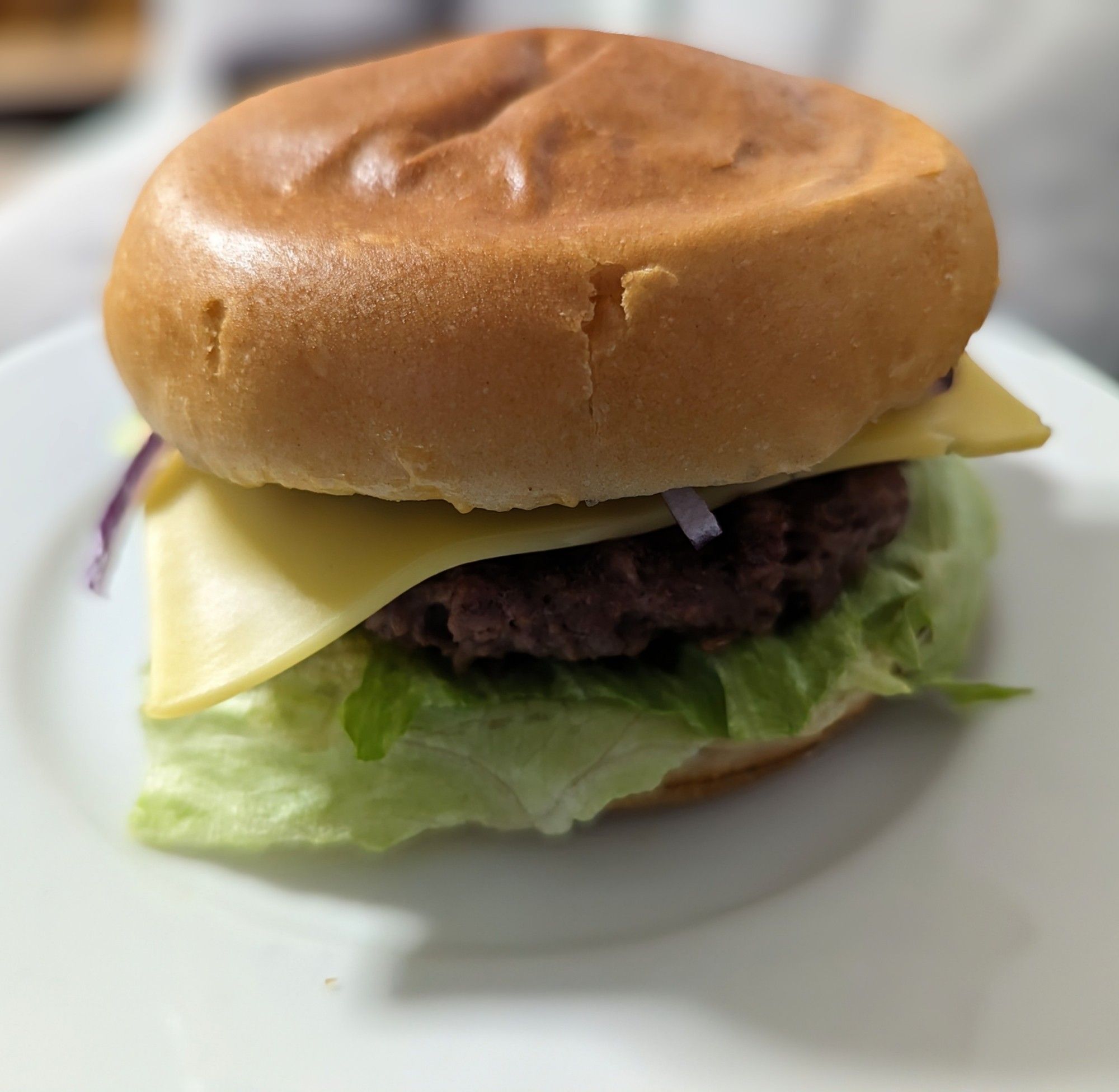 Burger auf einem weißen Teller. Auf dem Bun liegt grüner Salat, das braune Pattie, eine gelbe Käsescheibe und rote Zwiebeln.