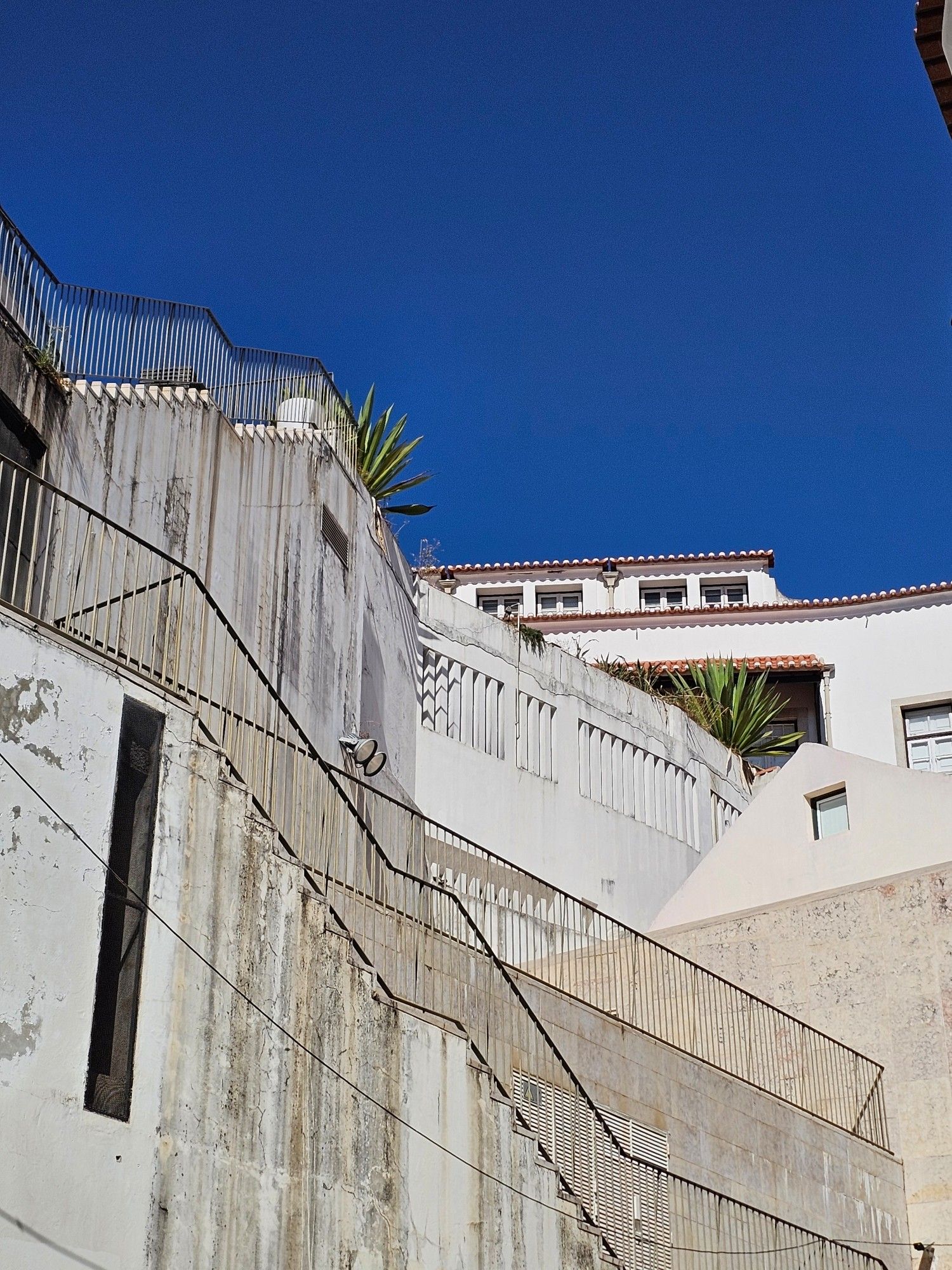 Agave plants above stairs and white walls and houses