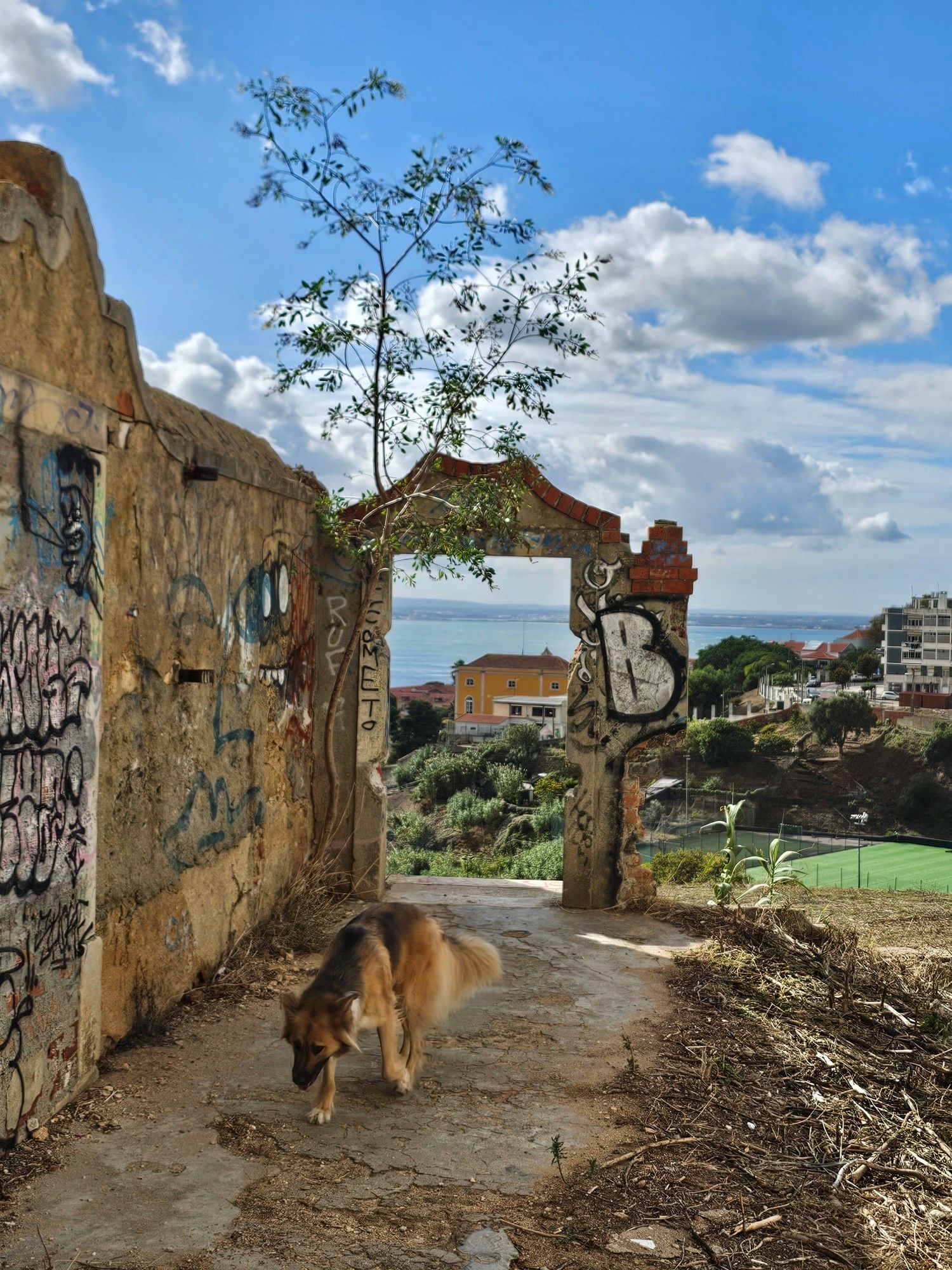 Zen in front of the ruins of a gate