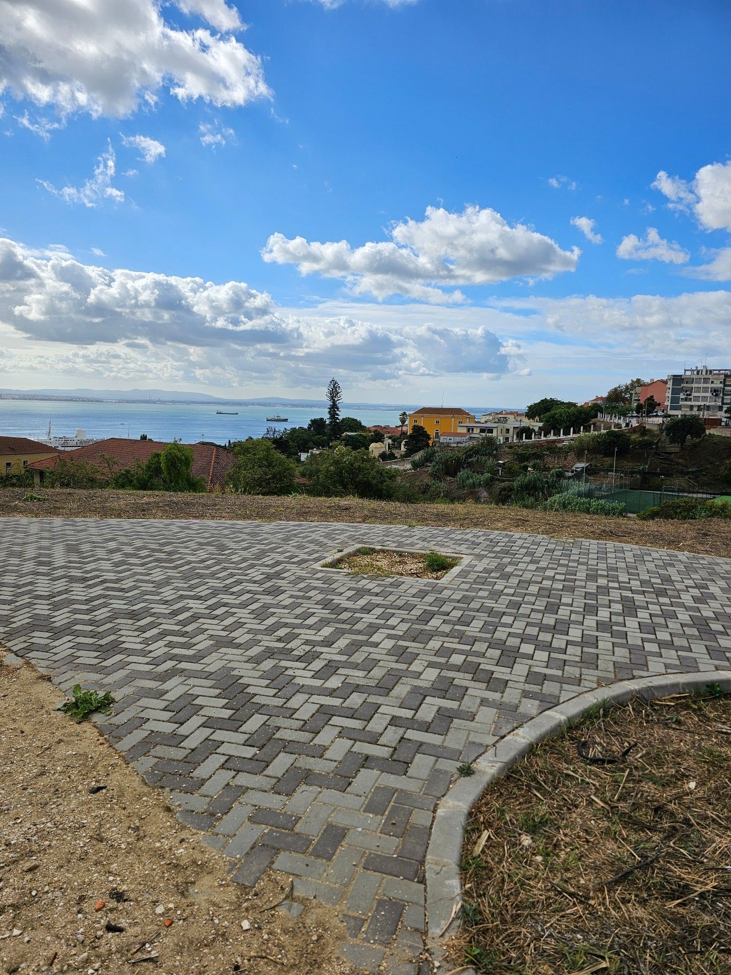 A street in the fields, the Tejo and some houses in the background