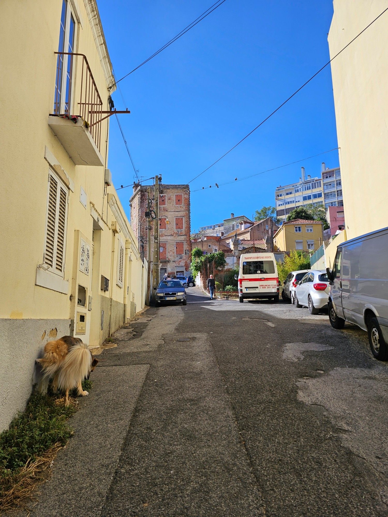 Zen peeing in a small alleyway in Lisboa