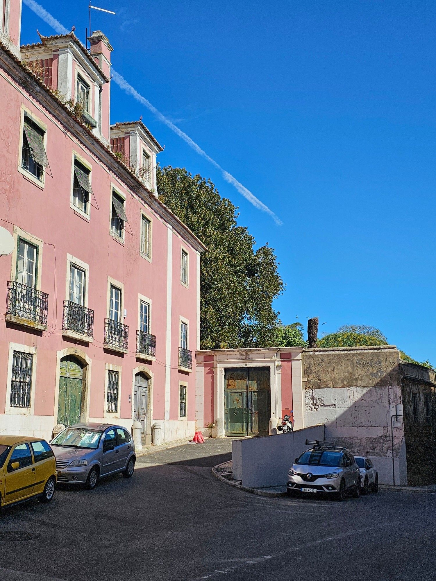 Pink building with a big tree behind