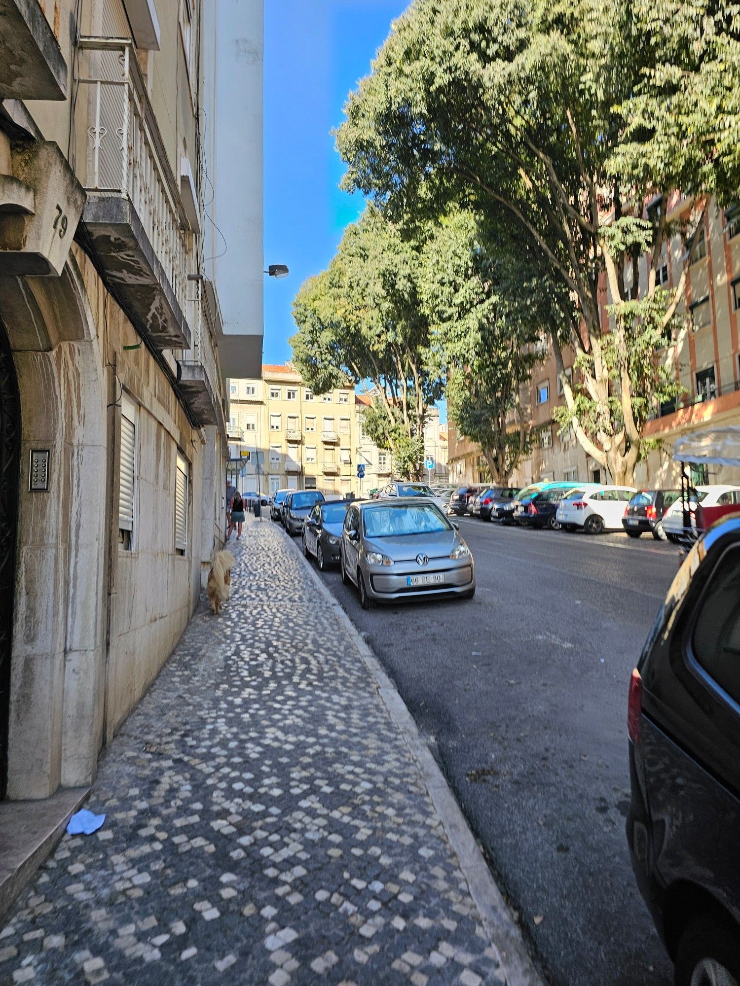 Street with trees in Lisboa