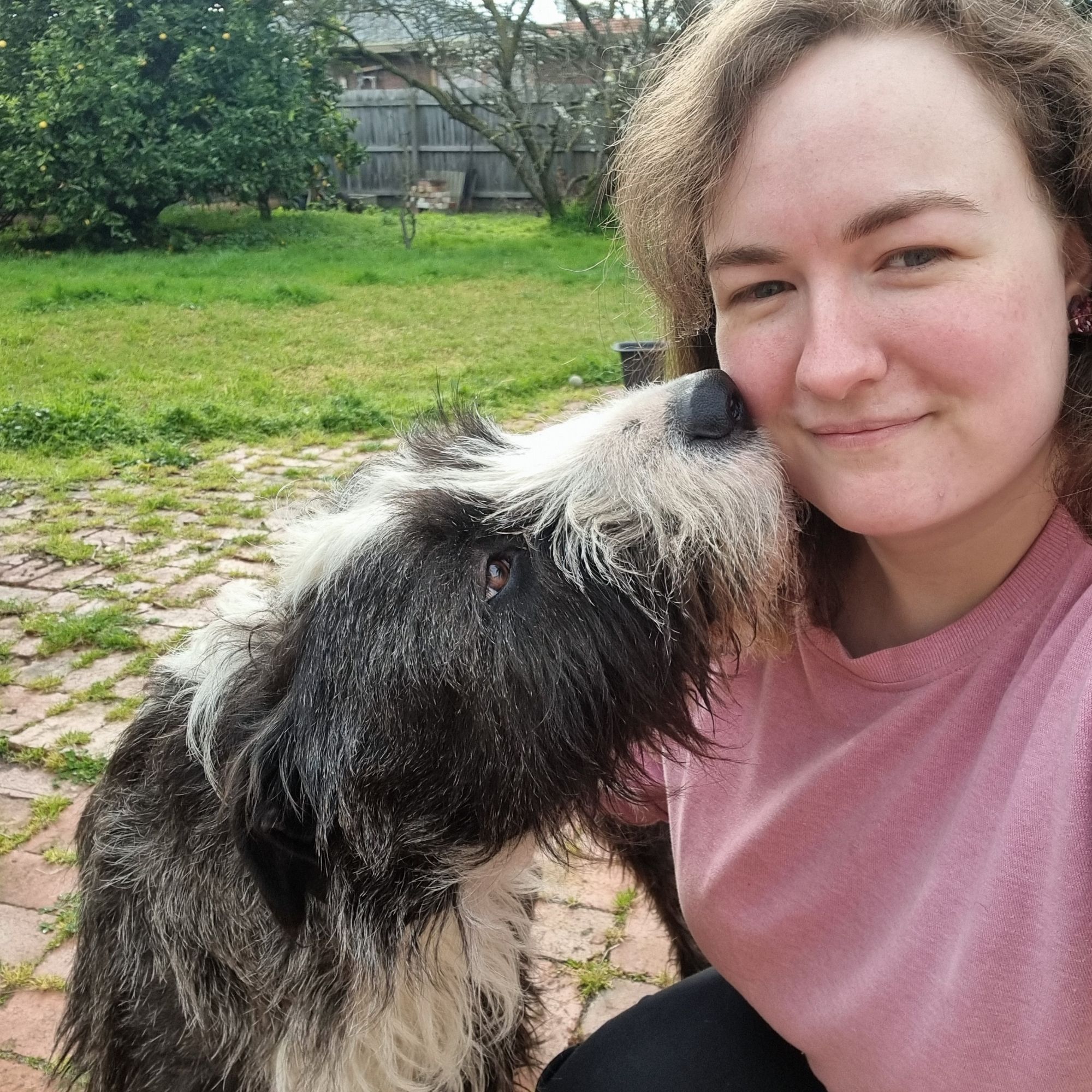 Me again! A medium-sized black and white scruffy dog is about to give me a kiss on the face, which I normally don't entertain but he's a sook so just this once.