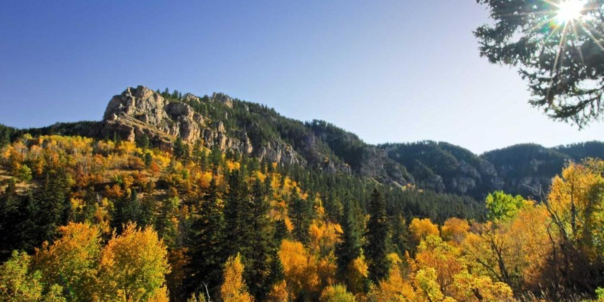 The 1,000-foot limestone cliffs of Spearfish Canyon in the Black Hills, covered in pine forests and golden autumn foliage.