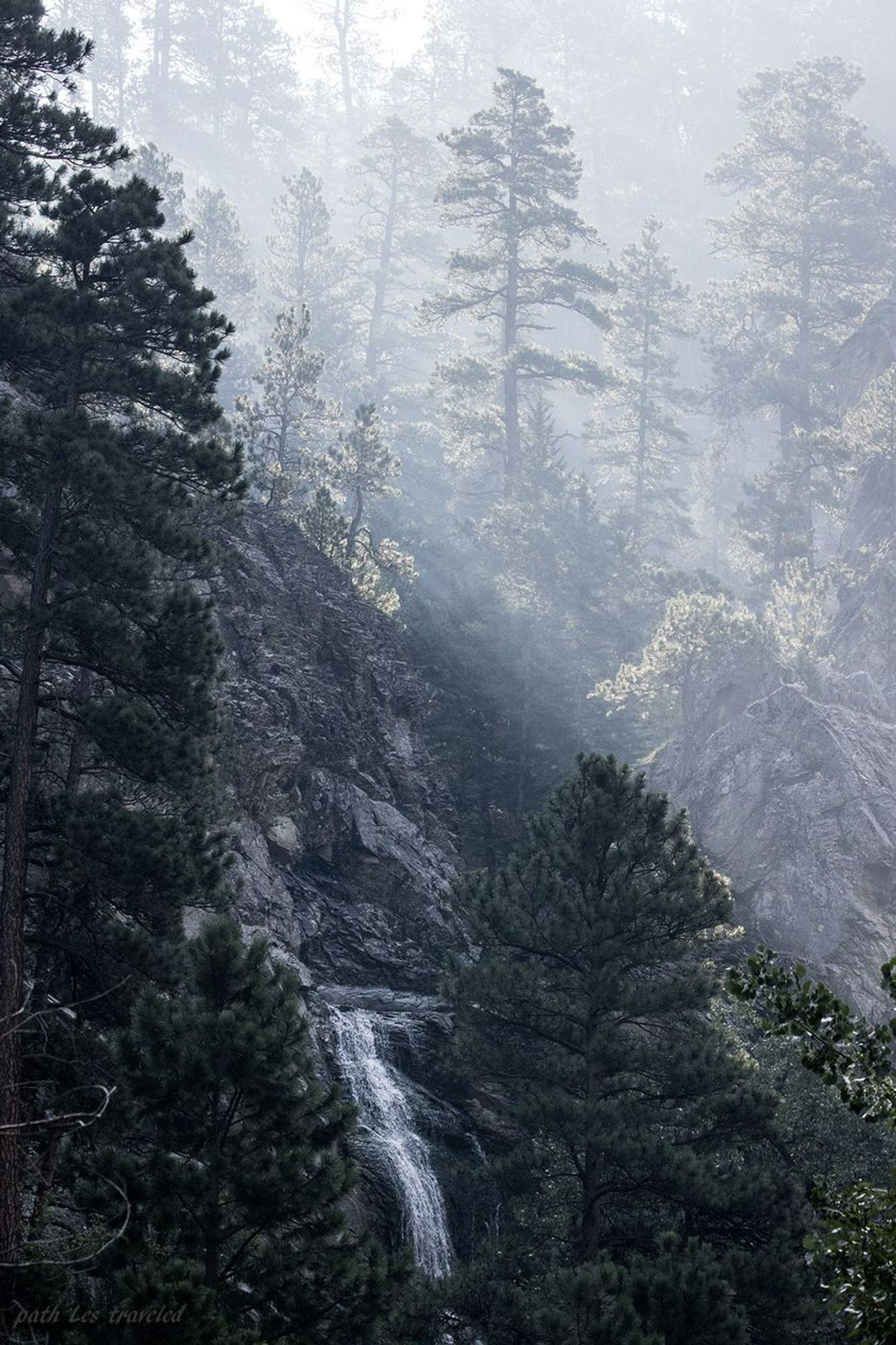 Bridal Veil Falls in Spearfish Canyon in the Black Hills, with morning light streaming in over the rim of the canyon like a 19th century landscape painting.