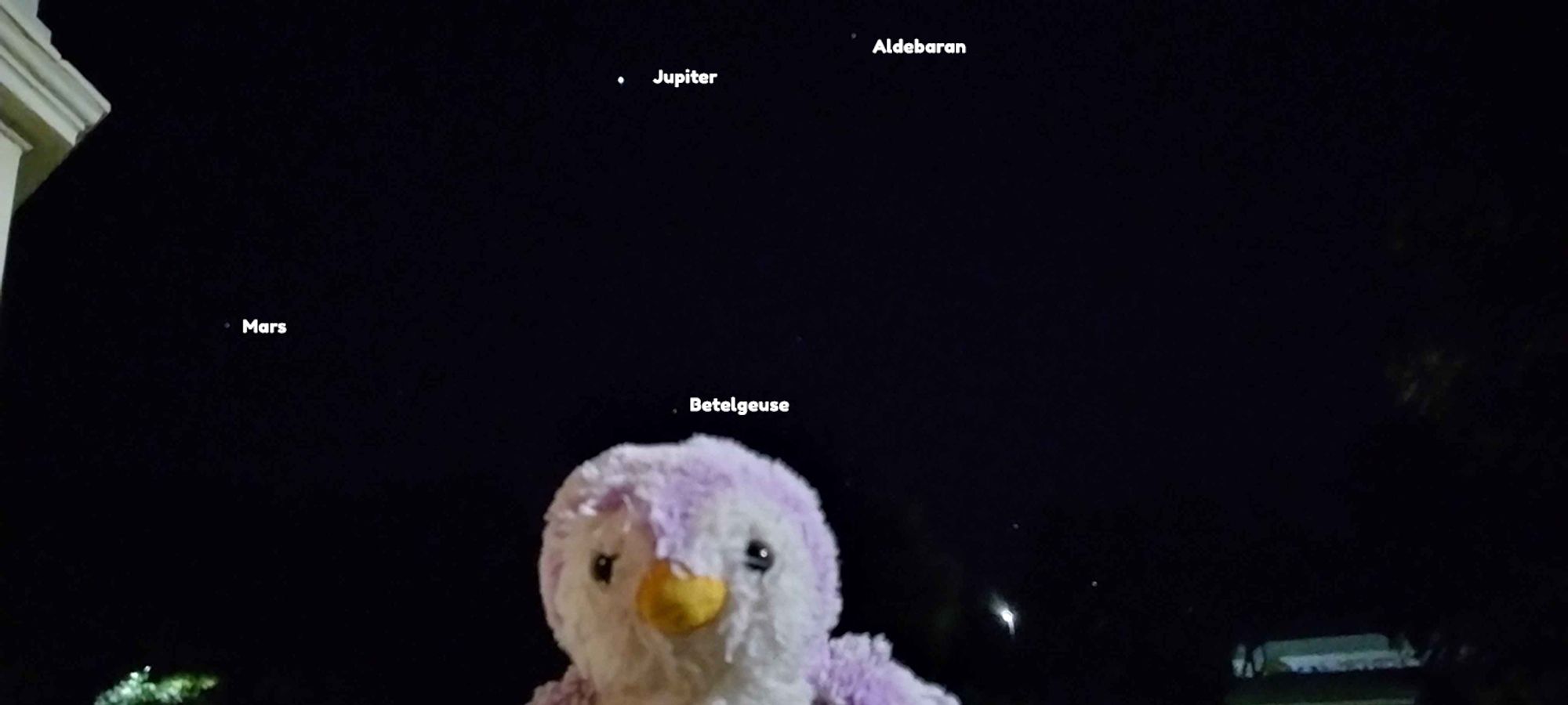 fairy penguinos stargazing mars jupiter betelgeuse september 28 2024 1 ~ 1:30 AM UK