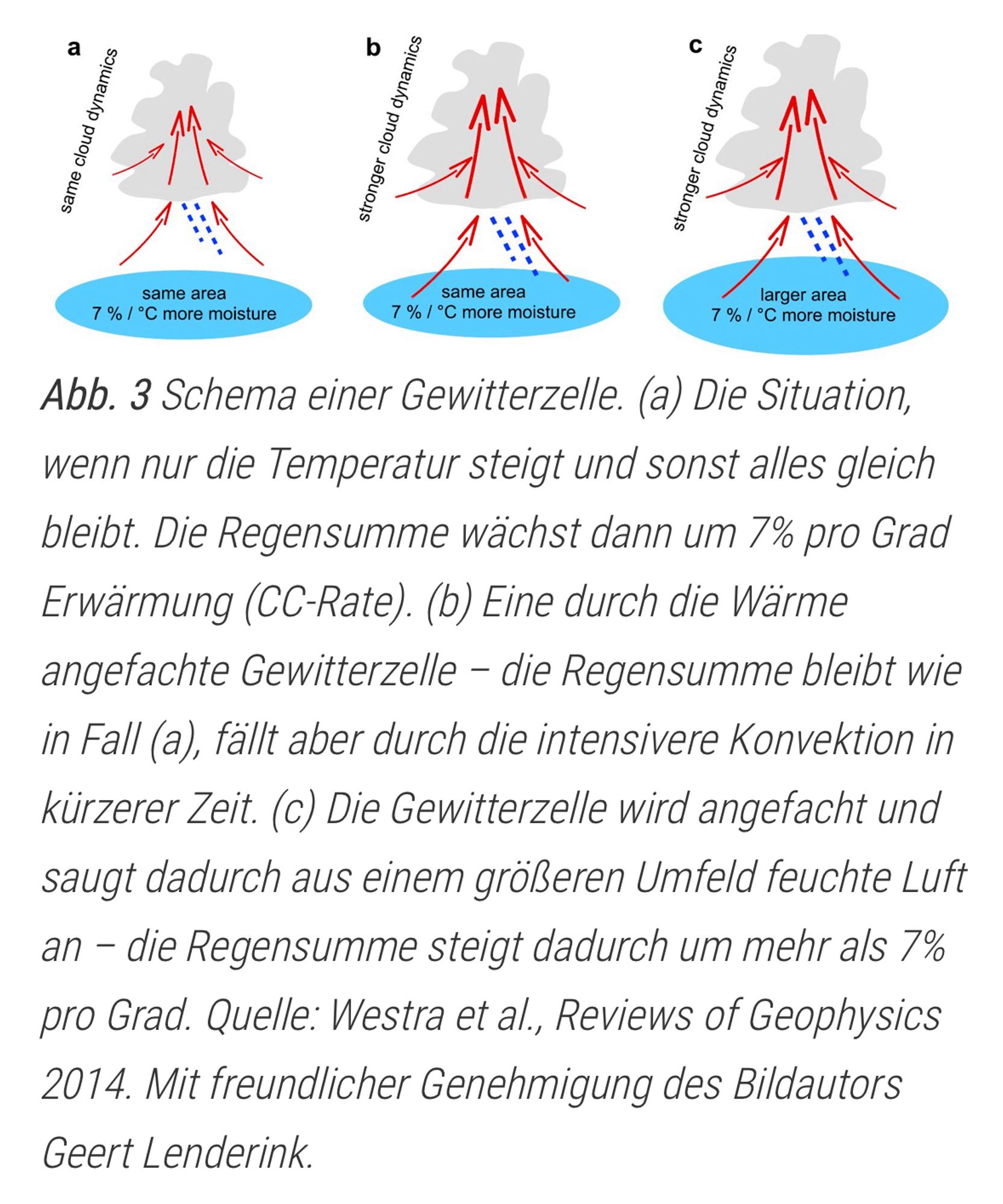 Schema einer Gewitterzelle