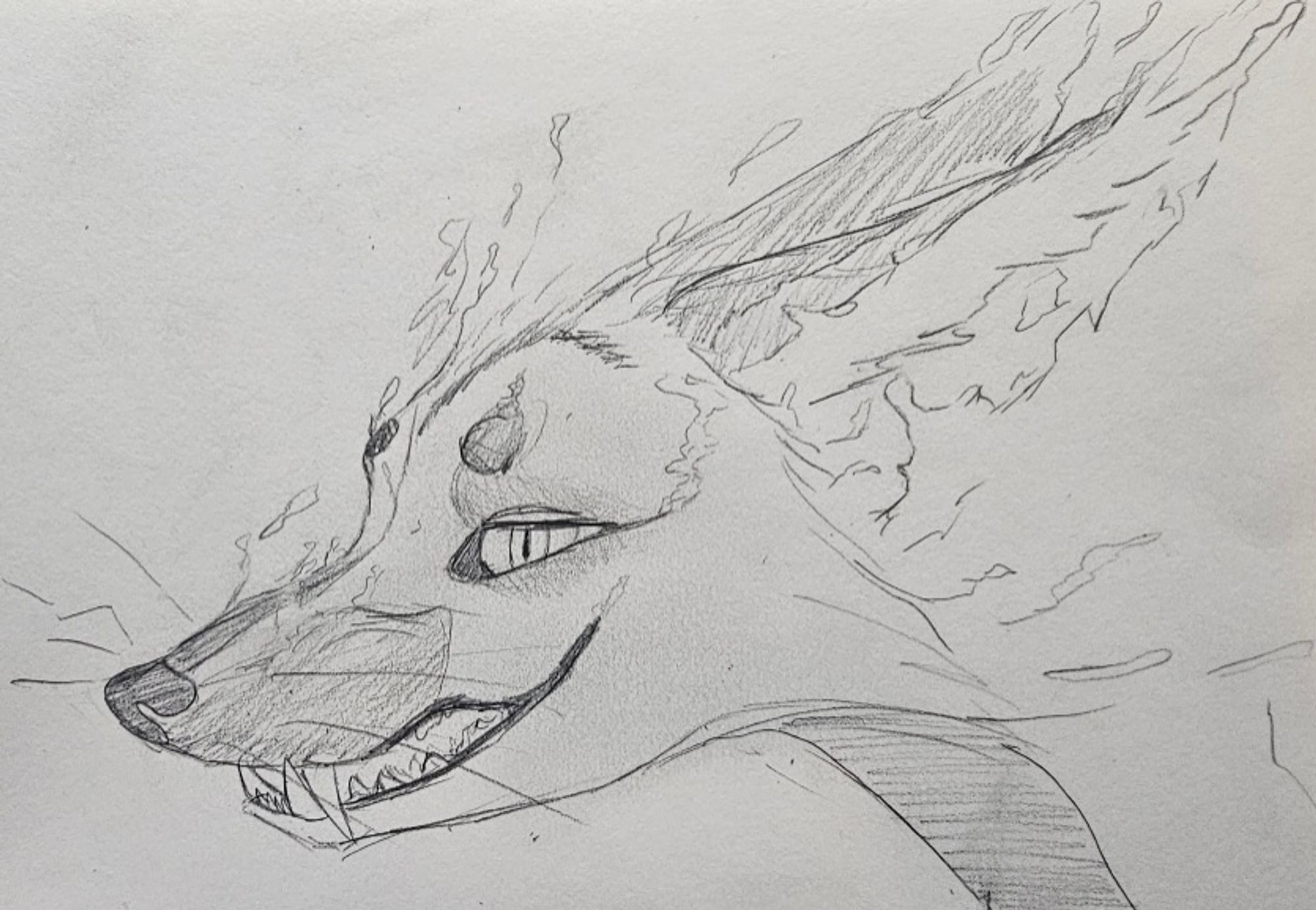 Pencil sketch profile headshot of a supernatural cross fox