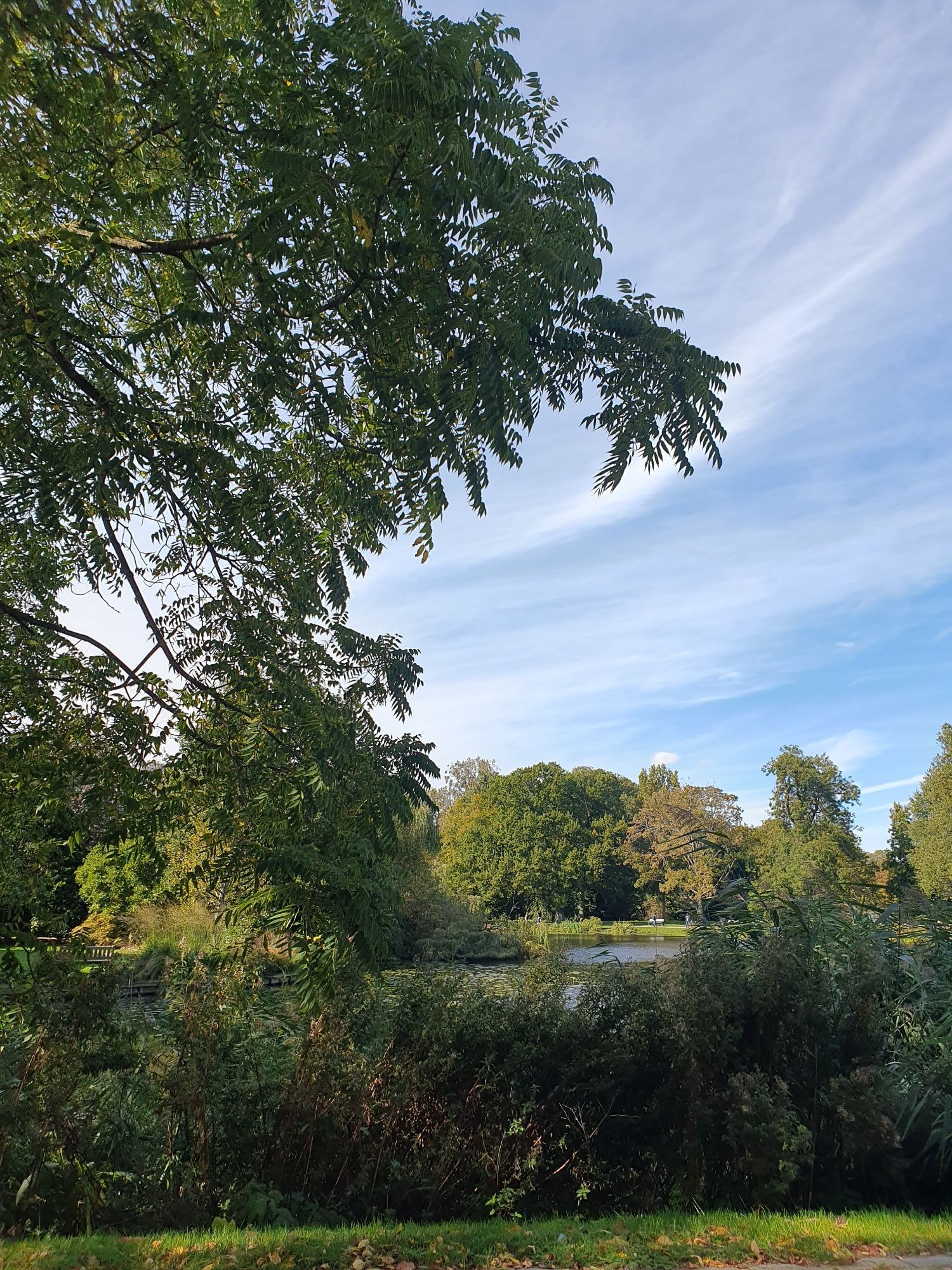 Rustend op een bankje keken we uit op de achterkant van het Vondelpark. Mooi zacht zonlicht en voorzichtig wat herfstkleuren in de bomen