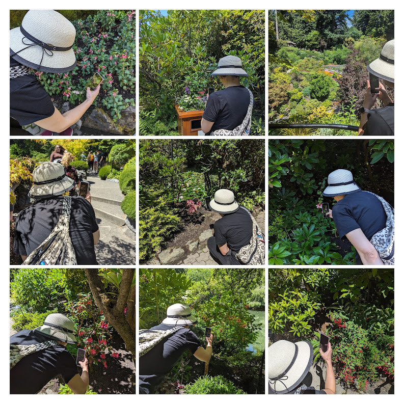 collage of images of a girl in a sun-hat taking distant and close up photos of flowers