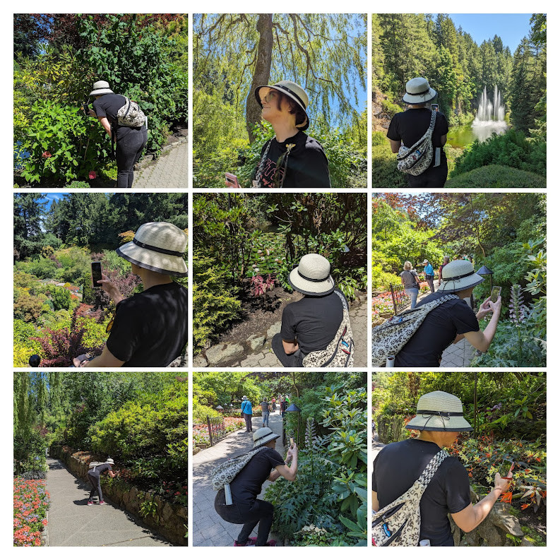 collage of images of a girl in a sun-hat taking distant and close up photos of flowers