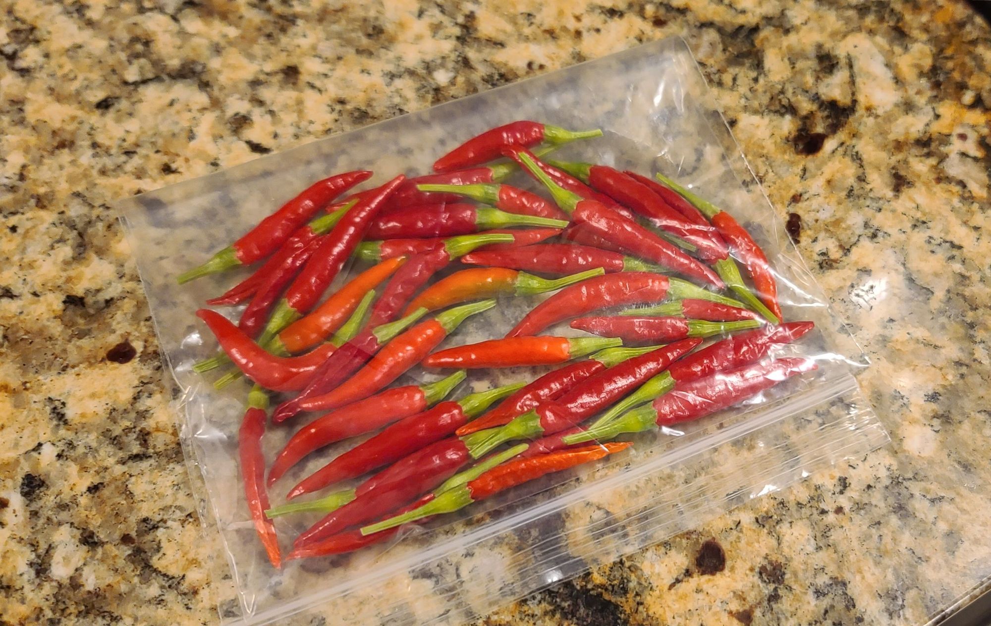 Chile de Arbol. Fresca.