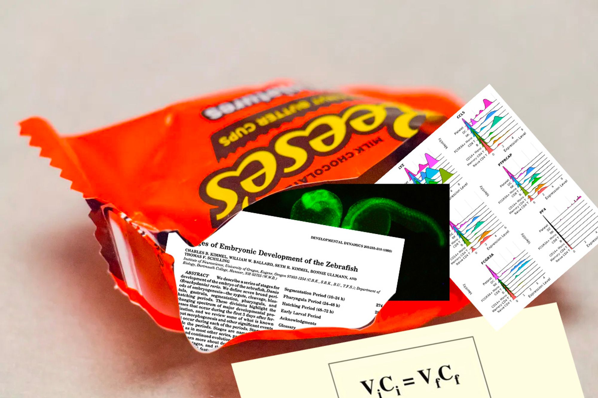 A Reese's butter cup with scientific papers, images and data coming out of it