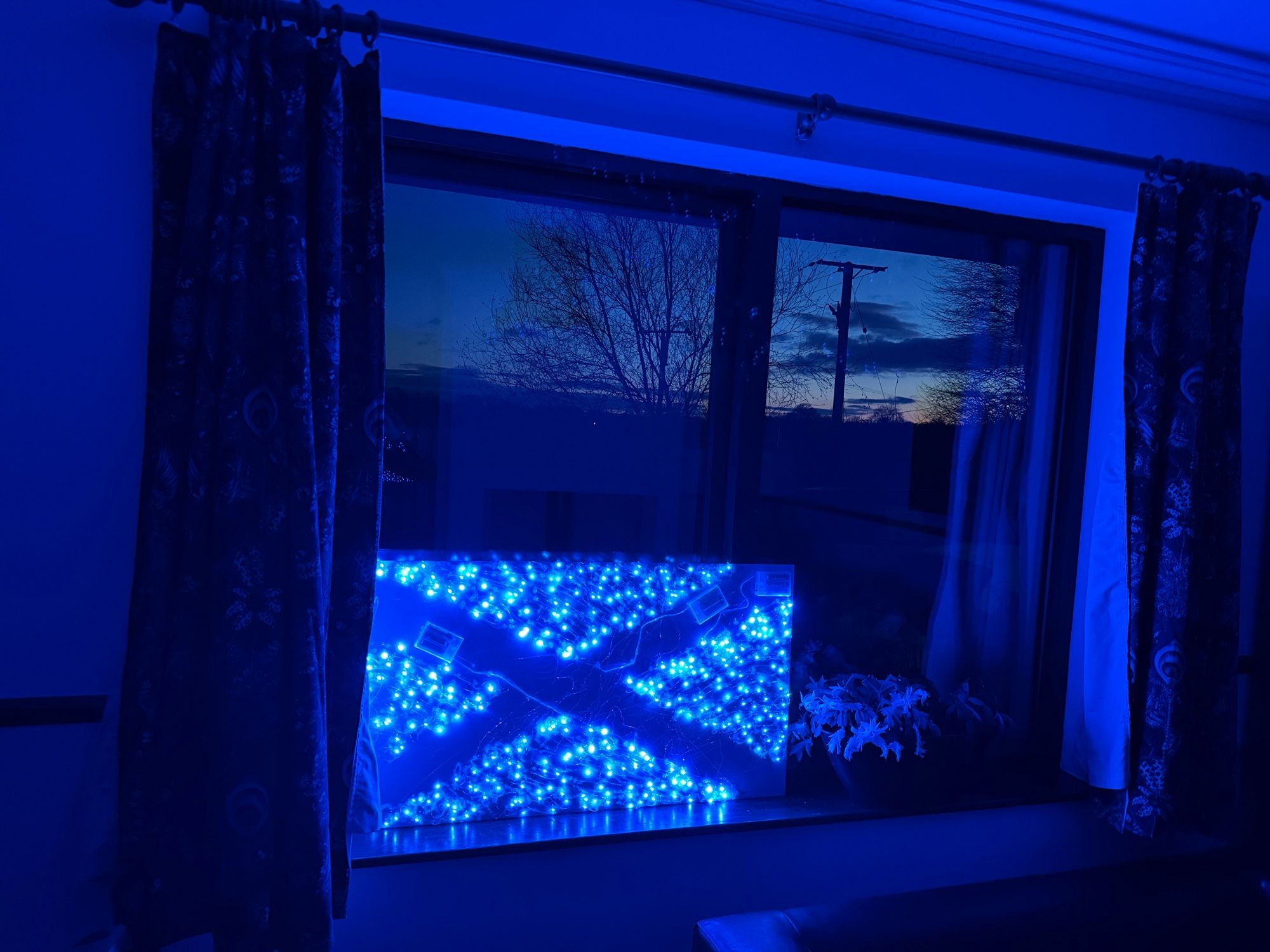 Inside view of a window which has the paler image than the other photo   of a winter sunset sky and an illuminated saltire. The sky shows the skeletal trees, high slightly blue sky with shades of orange darkening as it goes down to the blacker silhouettes of low cloud and hills. The saltire sits to the bottom left of the window, bright blue illuminated triangles with the dark, light-less cross of the saltire. In this photo, the wires of the blue lights and their battery cases, can be picked out.