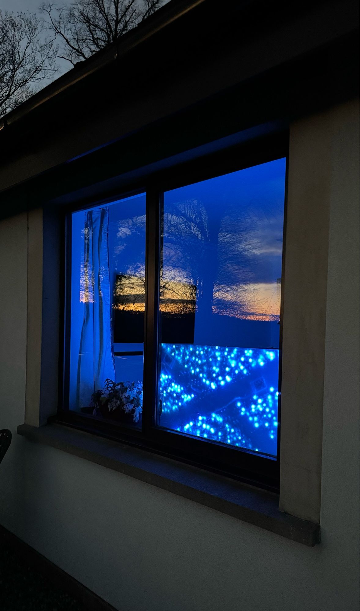 Outside view of a window which has the reflection of a winter sunset sky and an illuminated saltire. The sky shows the skeletal trees, high grey/blue clouds, shades of orange darkening as it goes down to the blacker silhouettes of low cloud and hills. The saltire sits to the bottom right of the window, bright blue illuminated triangles with the dark, light-less cross of the saltire.