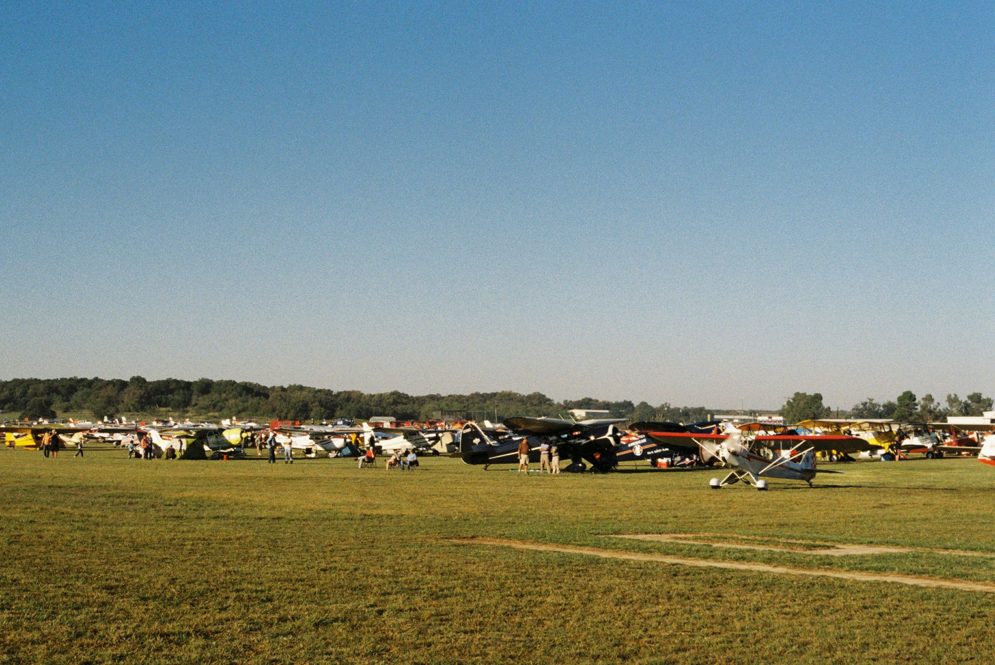 A grass field of vintage planes under a pale blue sky. 