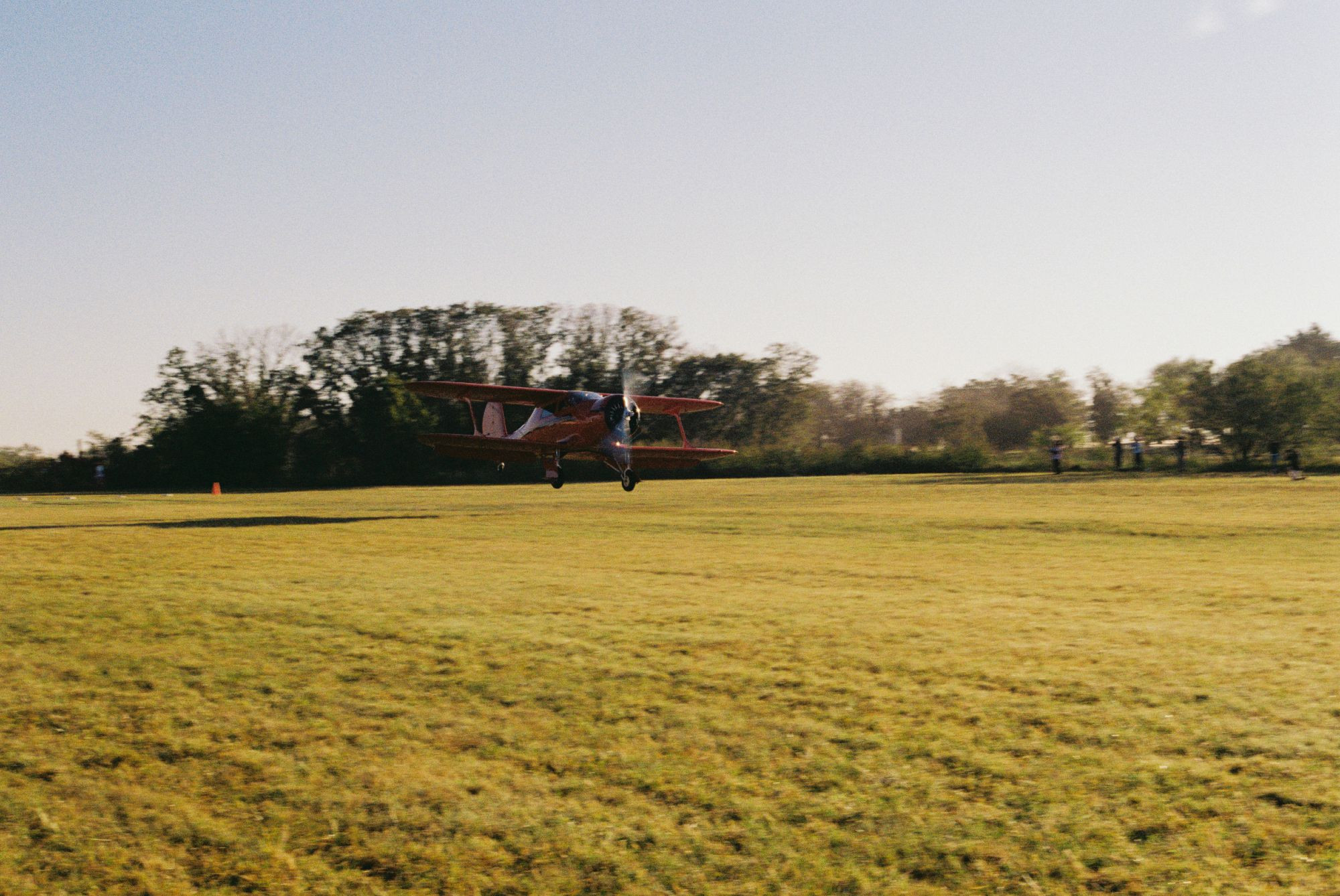 A red biplane landing on a grass strip.