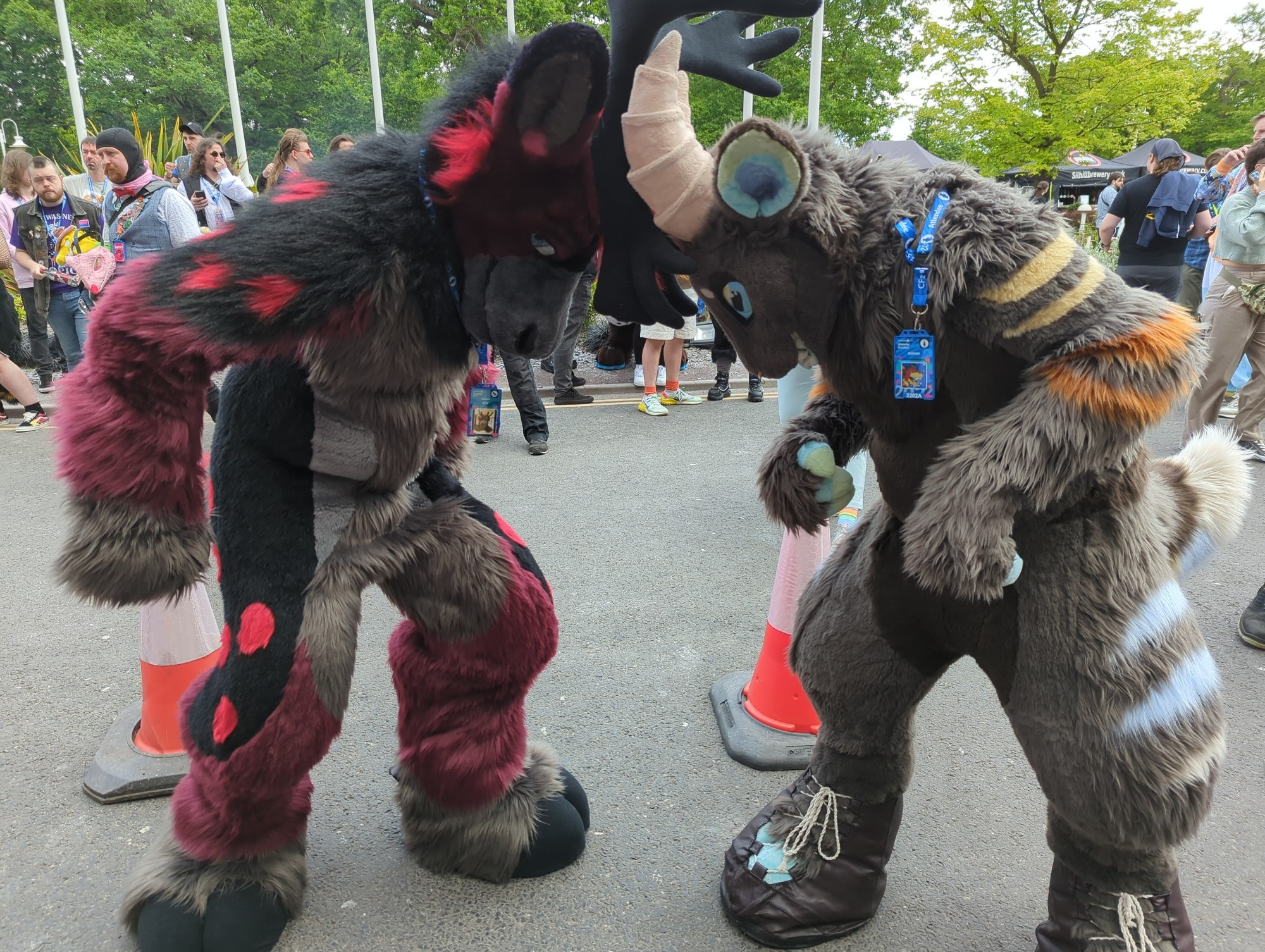 A Reindeer suiter and a Goat suiter locking up horns to see which one is the strongest.