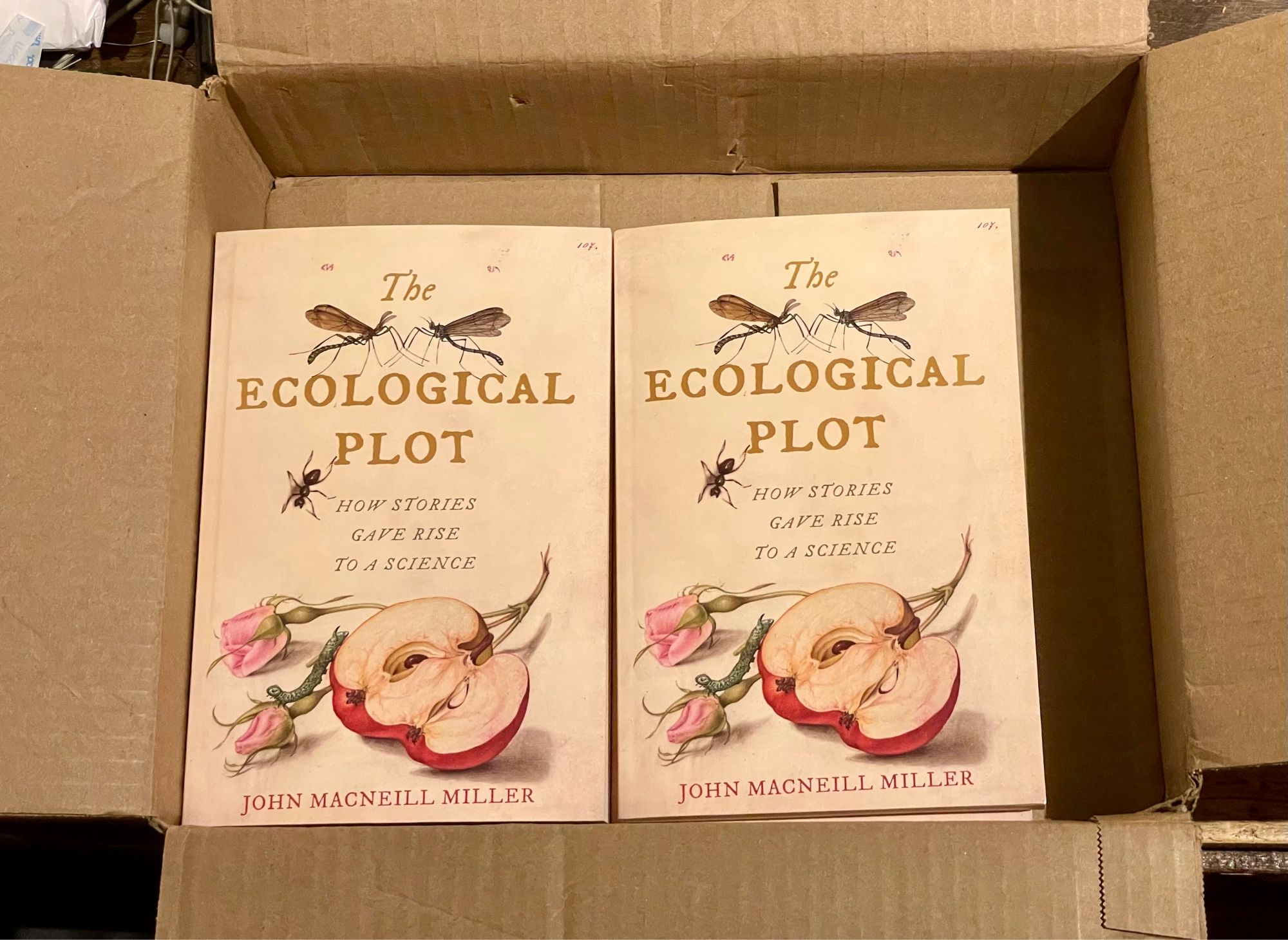 Advance copies of The Ecological Plot, still nested inside the box that carried them!