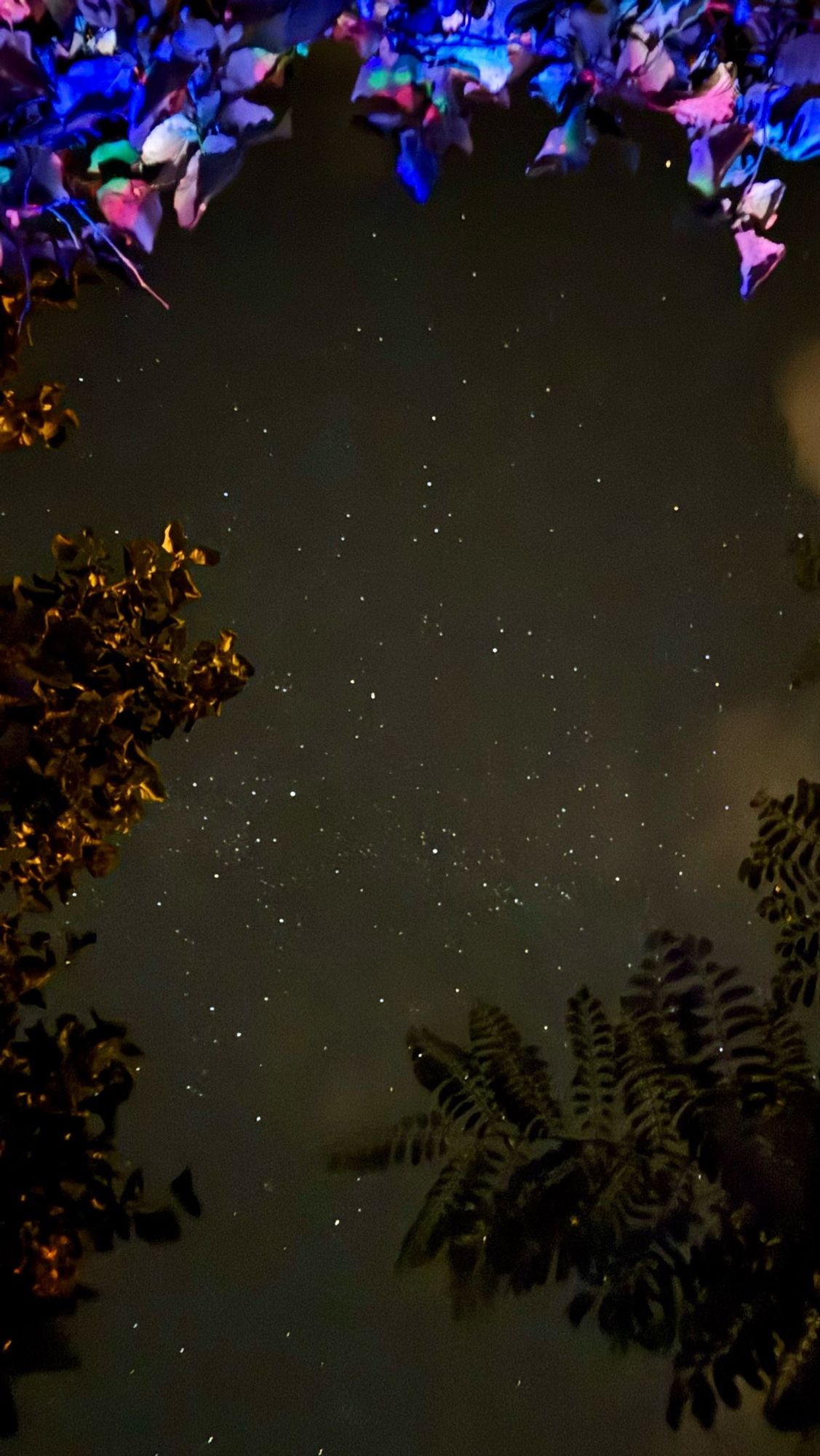 Himmel vor der Sauna